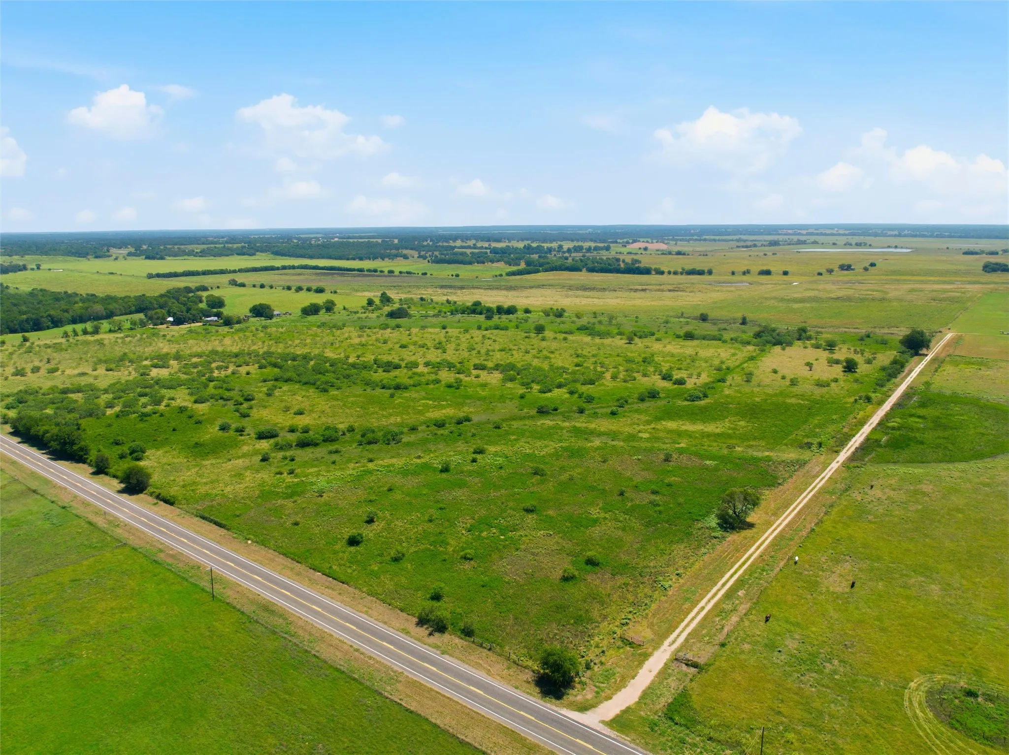 Expansive green landscape with a paved road, a dirt road, and scattered trees