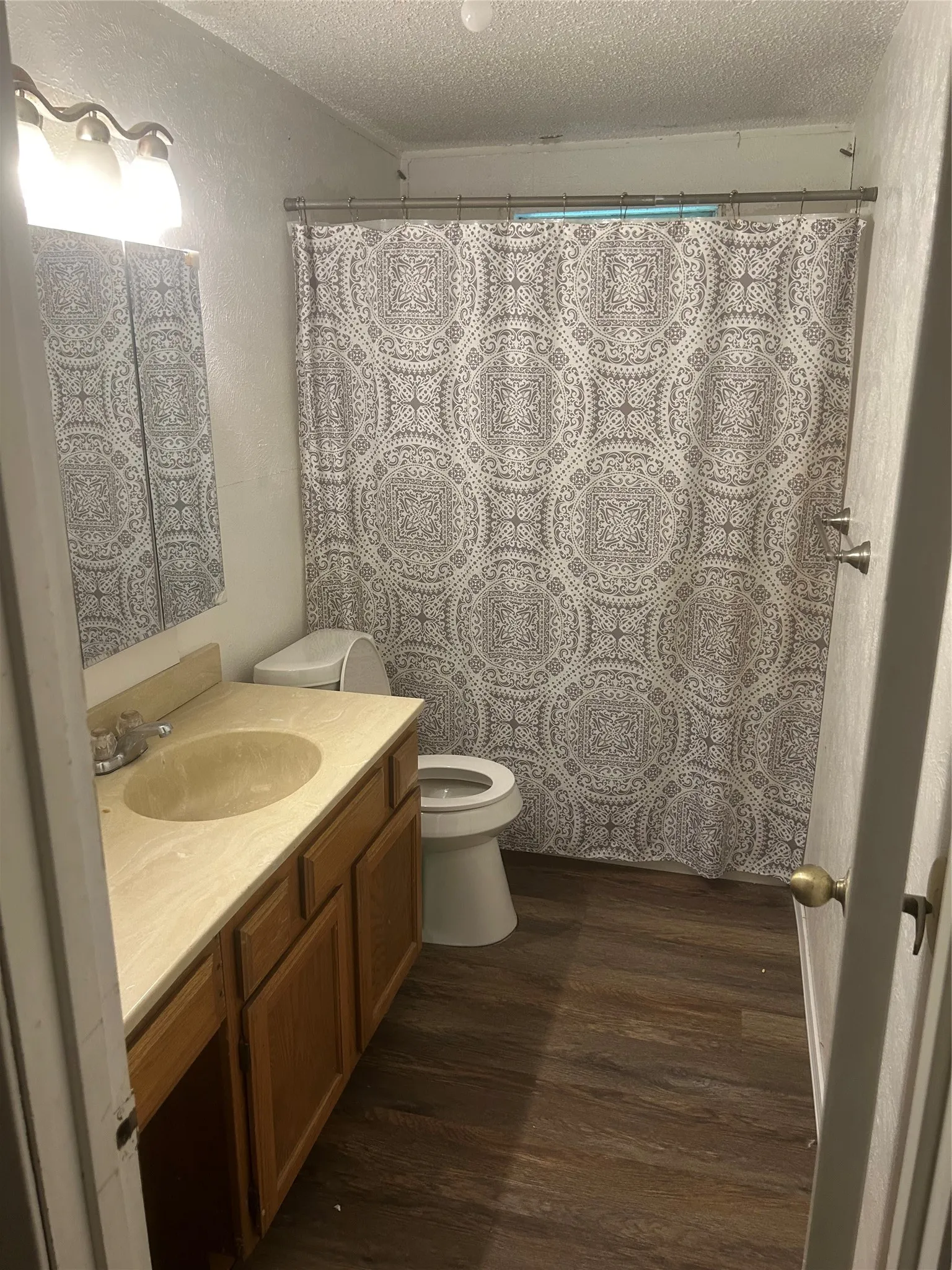 Second bathroom featuring wood-finish flooring, a vanity with a built-in sink, and a mirrored wall fixture