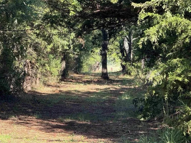 Farm For Sale in Smith County , 21120 Fm 16 W, Lindale, Texas 75771, 1 Bedroom, 1 Bathroom, Garage spaces, 1,000 Sqft, built in 2001, Price $2,795,000, mls#21339920, Real Estate Agent in Lindale, Homes For Sale in Smith county, Homes For Sale in Lindale, Realtor in Lindale Texas, Real Estate Brokerage Independent Realty Texas, Luminita Cordes Realtor