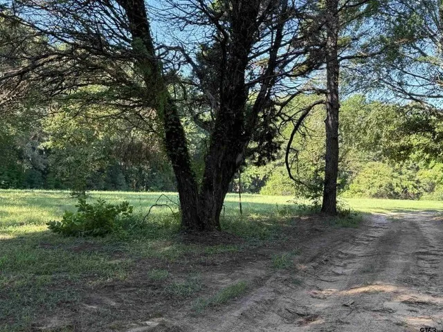 Farm For Sale in Smith County , 21120 Fm 16 W, Lindale, Texas 75771, 1 Bedroom, 1 Bathroom, Garage spaces, 1,000 Sqft, built in 2001, Price $2,795,000, mls#21339920, Real Estate Agent in Lindale, Homes For Sale in Smith county, Homes For Sale in Lindale, Realtor in Lindale Texas, Real Estate Brokerage Independent Realty Texas, Luminita Cordes Realtor