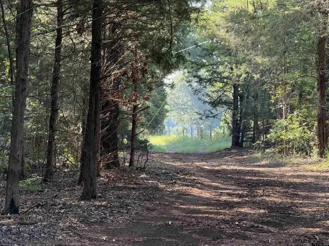 Farm For Sale in Smith County , 21120 Fm 16 W, Lindale, Texas 75771, 1 Bedroom, 1 Bathroom, Garage spaces, 1,000 Sqft, built in 2001, Price $2,795,000, mls#21339920, Real Estate Agent in Lindale, Homes For Sale in Smith county, Homes For Sale in Lindale, Realtor in Lindale Texas, Real Estate Brokerage Independent Realty Texas, Luminita Cordes Realtor