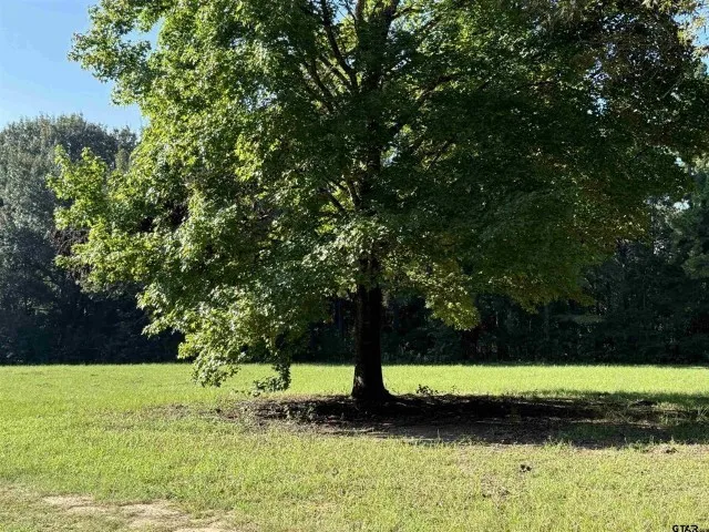 Farm For Sale in Smith County , 21120 Fm 16 W, Lindale, Texas 75771, 1 Bedroom, 1 Bathroom, Garage spaces, 1,000 Sqft, built in 2001, Price $2,795,000, mls#21339920, Real Estate Agent in Lindale, Homes For Sale in Smith county, Homes For Sale in Lindale, Realtor in Lindale Texas, Real Estate Brokerage Independent Realty Texas, Luminita Cordes Realtor