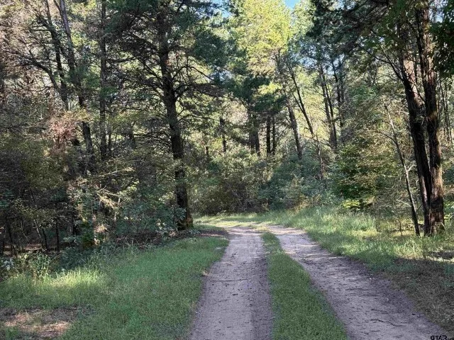 Farm For Sale in Smith County , 21120 Fm 16 W, Lindale, Texas 75771, 1 Bedroom, 1 Bathroom, Garage spaces, 1,000 Sqft, built in 2001, Price $2,795,000, mls#21339920, Real Estate Agent in Lindale, Homes For Sale in Smith county, Homes For Sale in Lindale, Realtor in Lindale Texas, Real Estate Brokerage Independent Realty Texas, Luminita Cordes Realtor