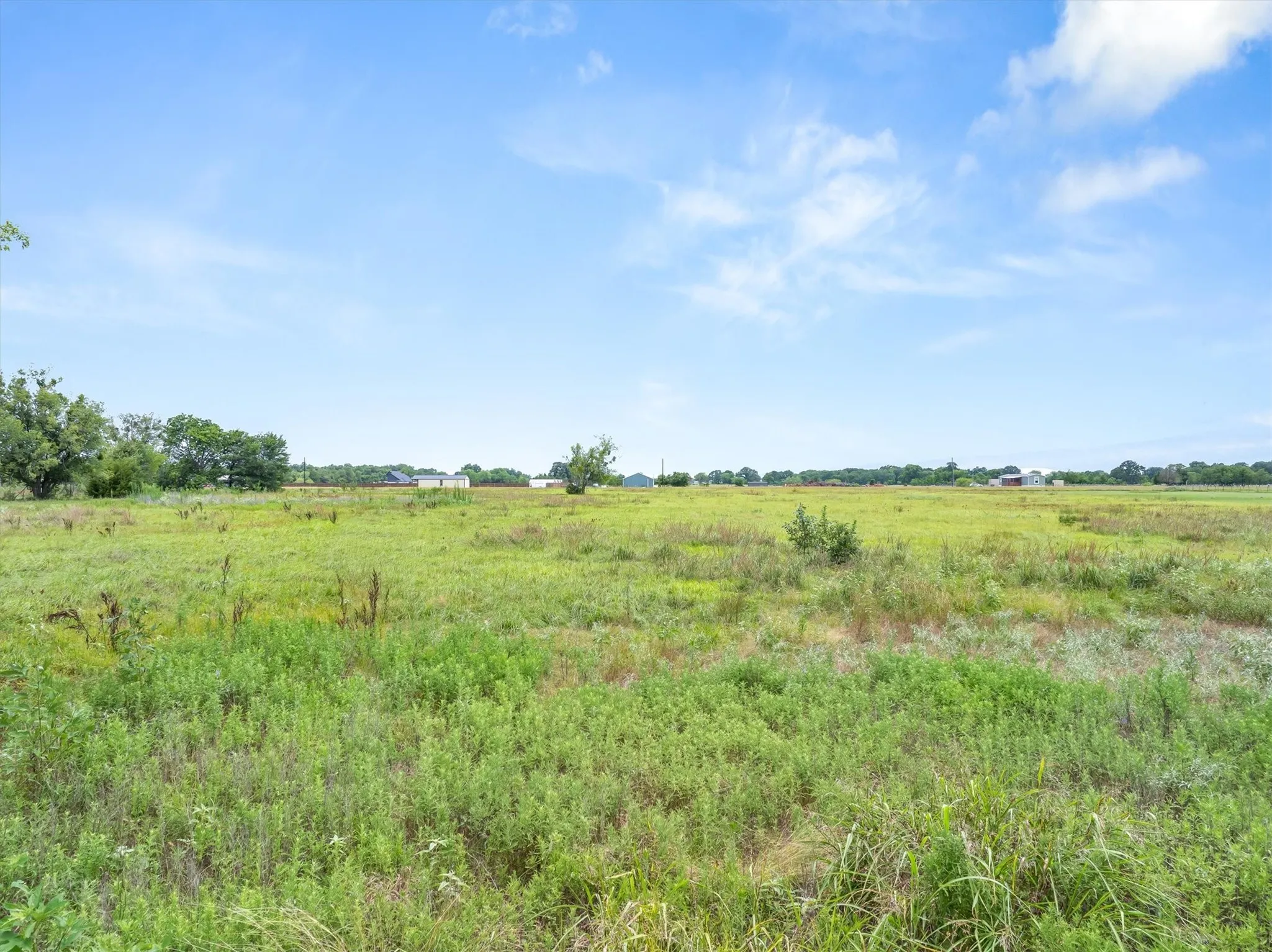 Expansive green field with natural ground cover under a clear sky