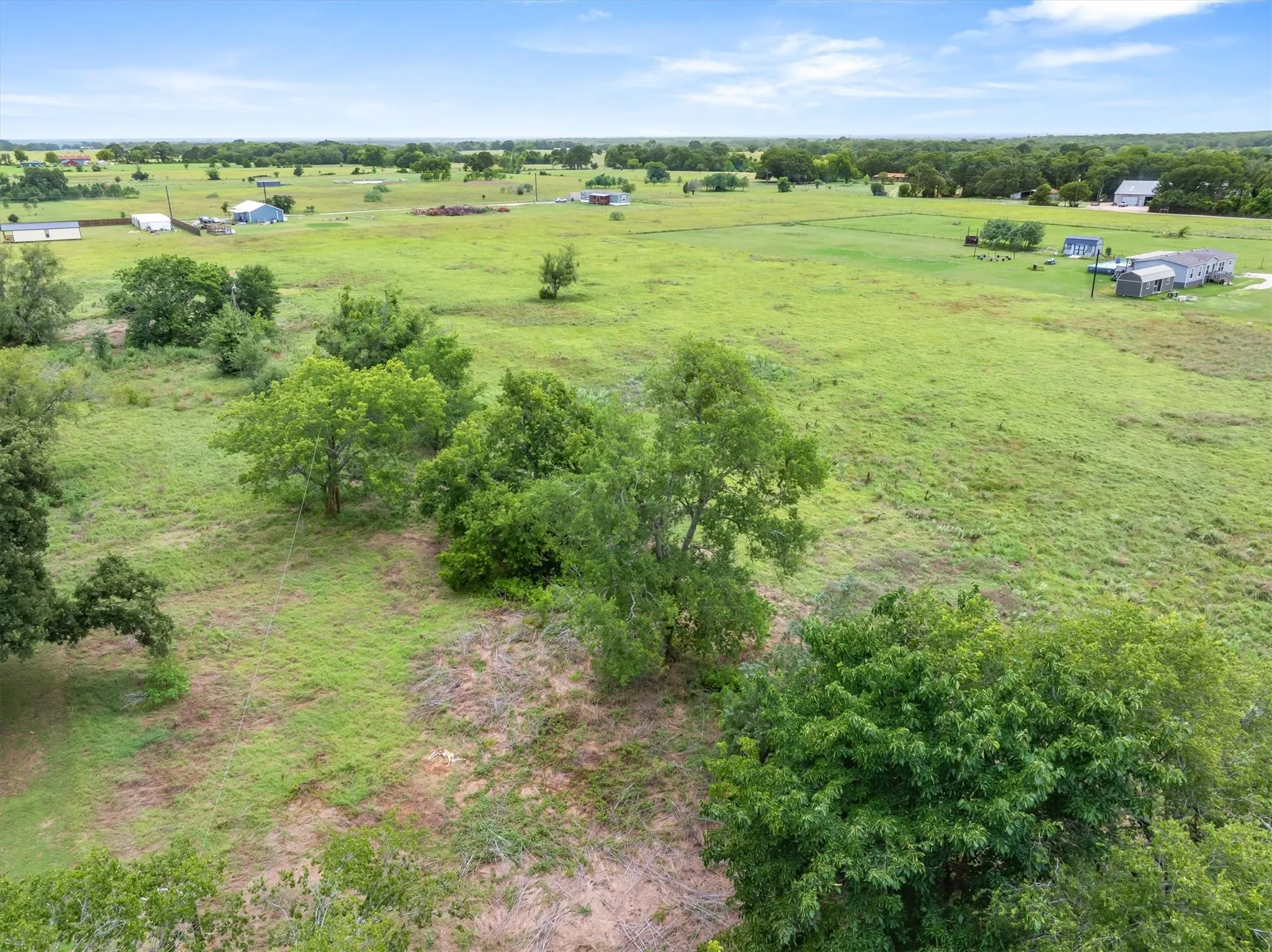 Expansive green landscape featuring scattered mature trees and distant structures under a clear sky