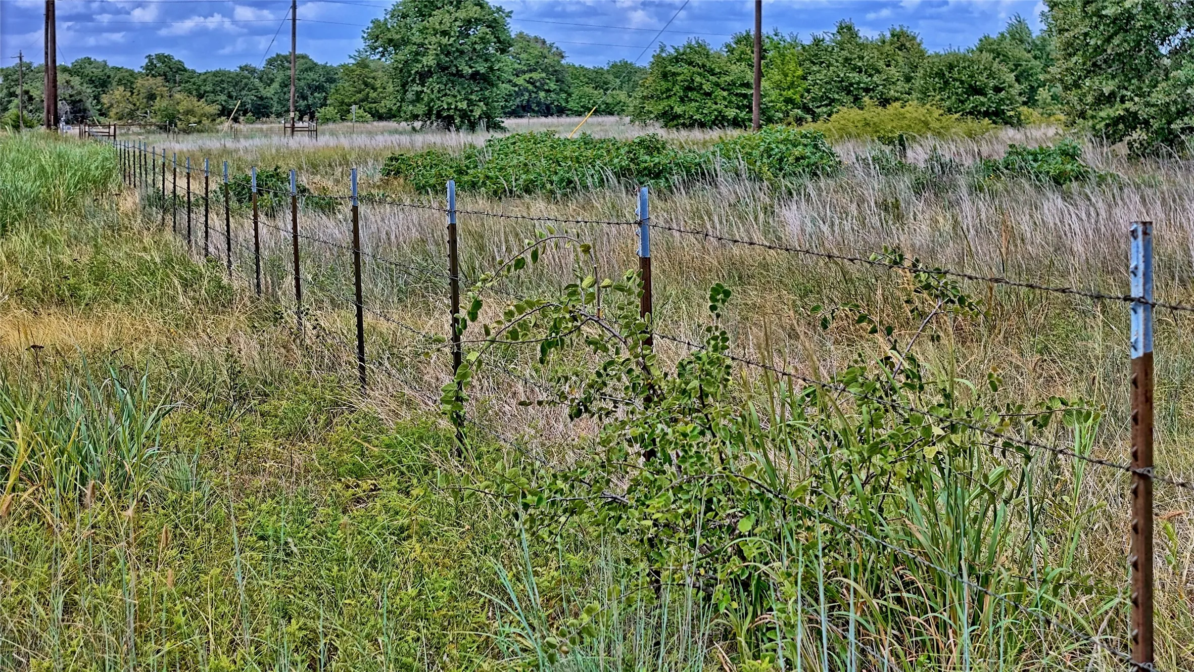Unimproved Land For Sale in Montague County , TBD Indian School Road, Bowie, Texas 76230, 0, 0, Garage spaces, 0 Sqft, built in 0, Price $225,000, mls#21333225, Real Estate Agent in Bowie, Homes For Sale in Montague county, Homes For Sale in Bowie, Realtor in Bowie Texas, Real Estate Brokerage Independent Realty Texas, Luminita Cordes Realtor