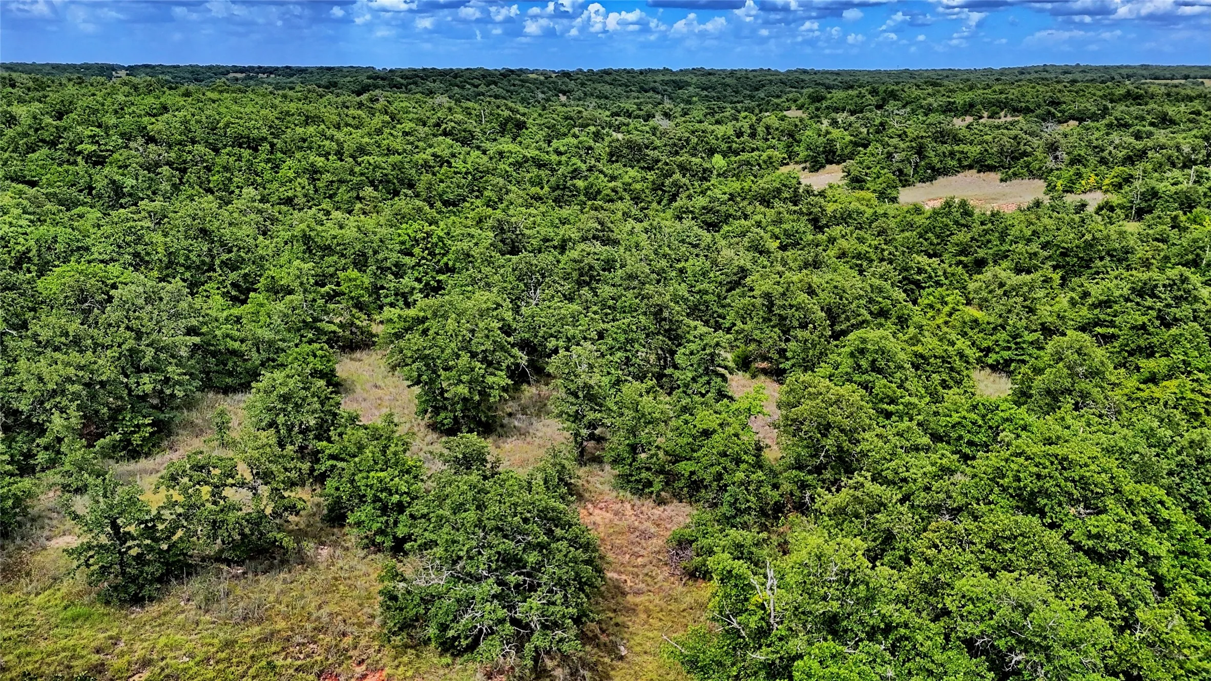Unimproved Land For Sale in Montague County , TBD Indian School Road, Bowie, Texas 76230, 0, 0, Garage spaces, 0 Sqft, built in 0, Price $225,000, mls#21333225, Real Estate Agent in Bowie, Homes For Sale in Montague county, Homes For Sale in Bowie, Realtor in Bowie Texas, Real Estate Brokerage Independent Realty Texas, Luminita Cordes Realtor