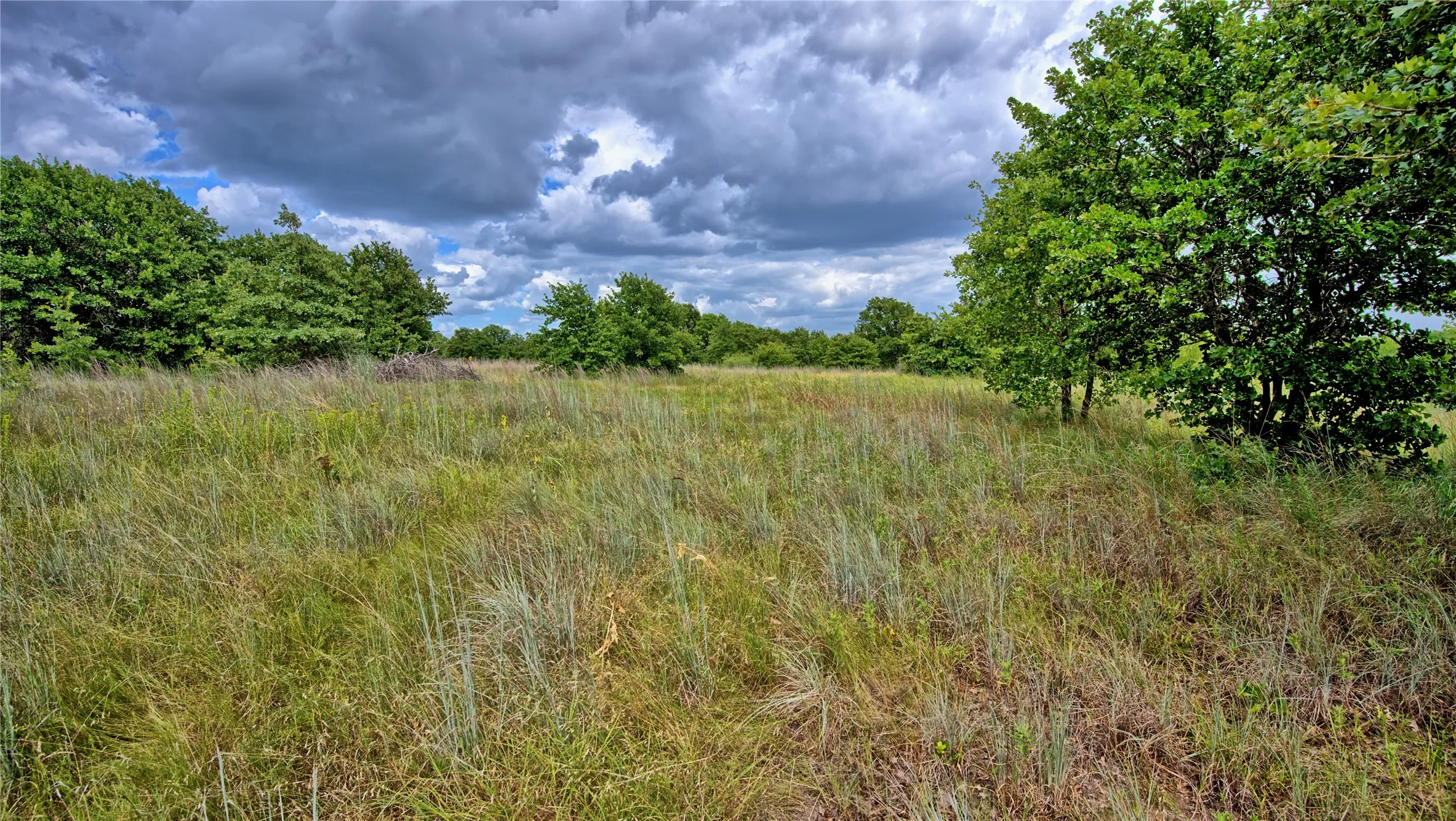 Unimproved Land For Sale in Montague County , TBD Indian School Road, Bowie, Texas 76230, 0, 0, Garage spaces, 0 Sqft, built in 0, Price $225,000, mls#21333225, Real Estate Agent in Bowie, Homes For Sale in Montague county, Homes For Sale in Bowie, Realtor in Bowie Texas, Real Estate Brokerage Independent Realty Texas, Luminita Cordes Realtor