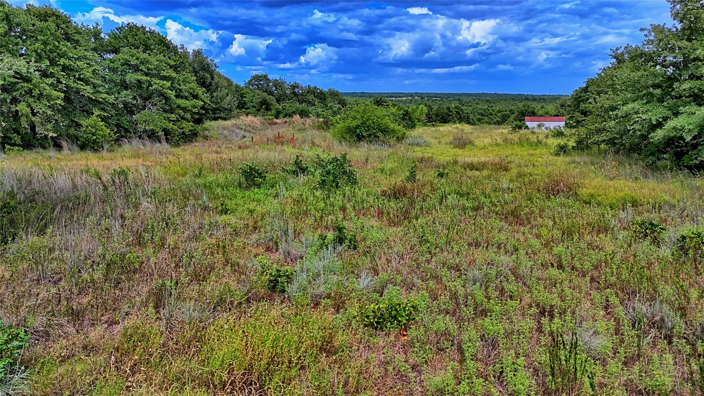Unimproved Land For Sale in Montague County , TBD Indian School Road, Bowie, Texas 76230, 0, 0, Garage spaces, 0 Sqft, built in 0, Price $225,000, mls#21333225, Real Estate Agent in Bowie, Homes For Sale in Montague county, Homes For Sale in Bowie, Realtor in Bowie Texas, Real Estate Brokerage Independent Realty Texas, Luminita Cordes Realtor