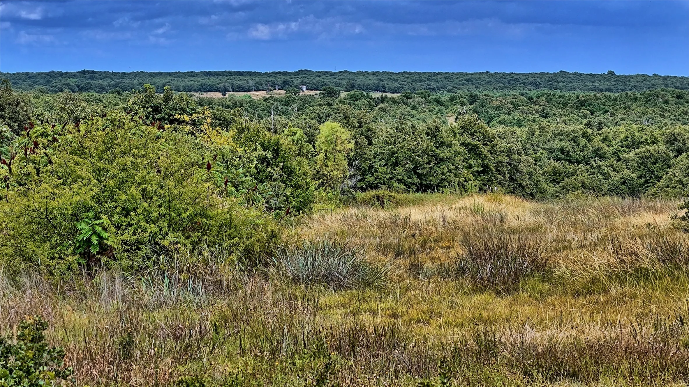 Unimproved Land For Sale in Montague County , TBD Indian School Road, Bowie, Texas 76230, 0, 0, Garage spaces, 0 Sqft, built in 0, Price $225,000, mls#21333225, Real Estate Agent in Bowie, Homes For Sale in Montague county, Homes For Sale in Bowie, Realtor in Bowie Texas, Real Estate Brokerage Independent Realty Texas, Luminita Cordes Realtor