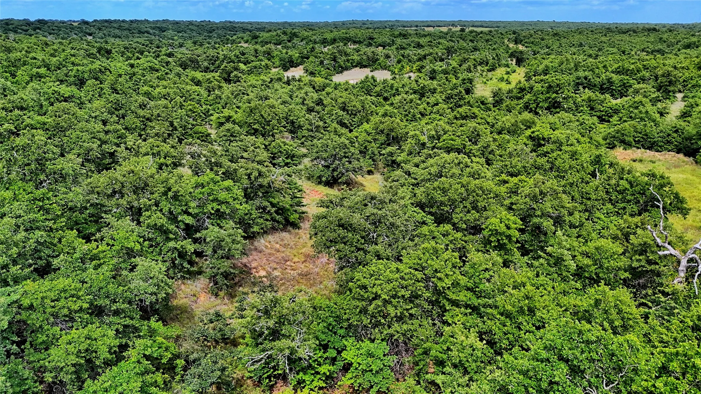 Unimproved Land For Sale in Montague County , TBD Indian School Road, Bowie, Texas 76230, 0, 0, Garage spaces, 0 Sqft, built in 0, Price $225,000, mls#21333225, Real Estate Agent in Bowie, Homes For Sale in Montague county, Homes For Sale in Bowie, Realtor in Bowie Texas, Real Estate Brokerage Independent Realty Texas, Luminita Cordes Realtor