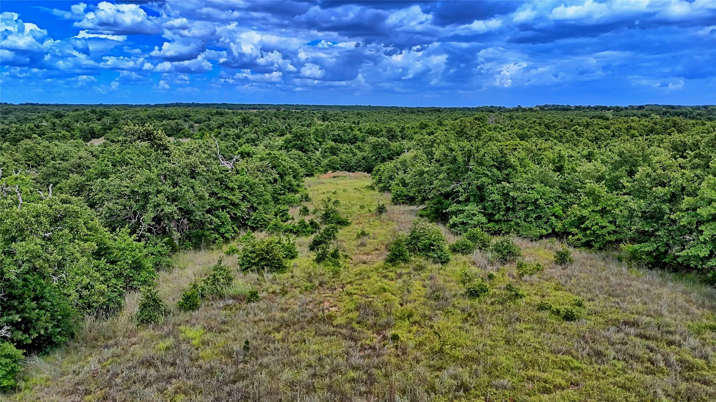 Unimproved Land For Sale in Montague County , TBD Indian School Road, Bowie, Texas 76230, 0, 0, Garage spaces, 0 Sqft, built in 0, Price $225,000, mls#21333225, Real Estate Agent in Bowie, Homes For Sale in Montague county, Homes For Sale in Bowie, Realtor in Bowie Texas, Real Estate Brokerage Independent Realty Texas, Luminita Cordes Realtor