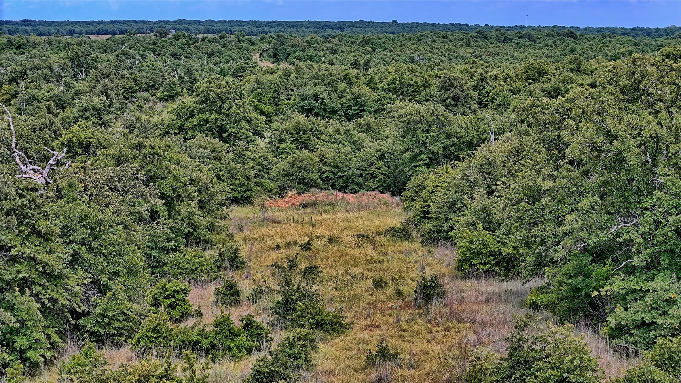 Unimproved Land For Sale in Montague County , TBD Indian School Road, Bowie, Texas 76230, 0, 0, Garage spaces, 0 Sqft, built in 0, Price $225,000, mls#21333225, Real Estate Agent in Bowie, Homes For Sale in Montague county, Homes For Sale in Bowie, Realtor in Bowie Texas, Real Estate Brokerage Independent Realty Texas, Luminita Cordes Realtor