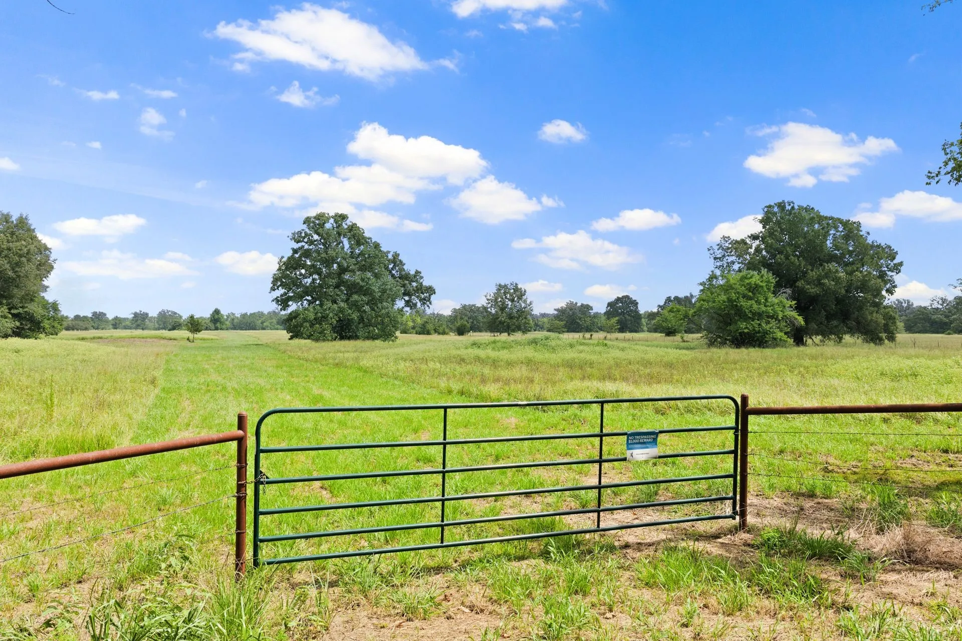 Unimproved Land For Sale in Franklin (TX) County , 495 NE County Road 2220, Talco, Texas 75487, 0, 0, Garage spaces, 0 Sqft, built in 0, Price $199,000, mls#21339954, Real Estate Agent in Talco, Homes For Sale in Franklin (TX) county, Homes For Sale in Talco, Realtor in Talco Texas, Real Estate Brokerage Independent Realty Texas, Luminita Cordes Realtor