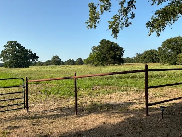 Unimproved Land For Sale in Franklin (TX) County , 495 NE County Road 2220, Talco, Texas 75487, 0, 0, Garage spaces, 0 Sqft, built in 0, Price $199,000, mls#21339954, Real Estate Agent in Talco, Homes For Sale in Franklin (TX) county, Homes For Sale in Talco, Realtor in Talco Texas, Real Estate Brokerage Independent Realty Texas, Luminita Cordes Realtor