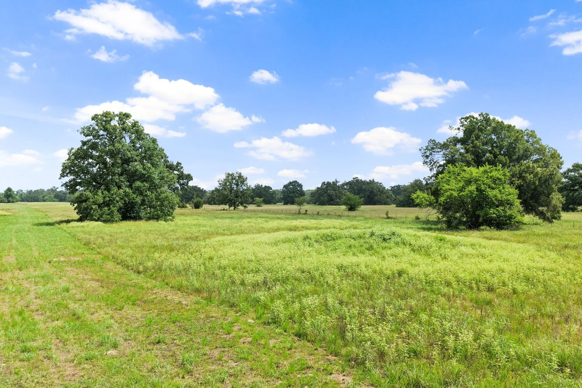 Unimproved Land For Sale in Franklin (TX) County , 495 NE County Road 2220, Talco, Texas 75487, 0, 0, Garage spaces, 0 Sqft, built in 0, Price $199,000, mls#21339954, Real Estate Agent in Talco, Homes For Sale in Franklin (TX) county, Homes For Sale in Talco, Realtor in Talco Texas, Real Estate Brokerage Independent Realty Texas, Luminita Cordes Realtor