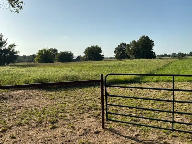 Unimproved Land For Sale in Franklin (TX) County , 495 NE County Road 2220, Talco, Texas 75487, 0, 0, Garage spaces, 0 Sqft, built in 0, Price $199,000, mls#21339954, Real Estate Agent in Talco, Homes For Sale in Franklin (TX) county, Homes For Sale in Talco, Realtor in Talco Texas, Real Estate Brokerage Independent Realty Texas, Luminita Cordes Realtor
