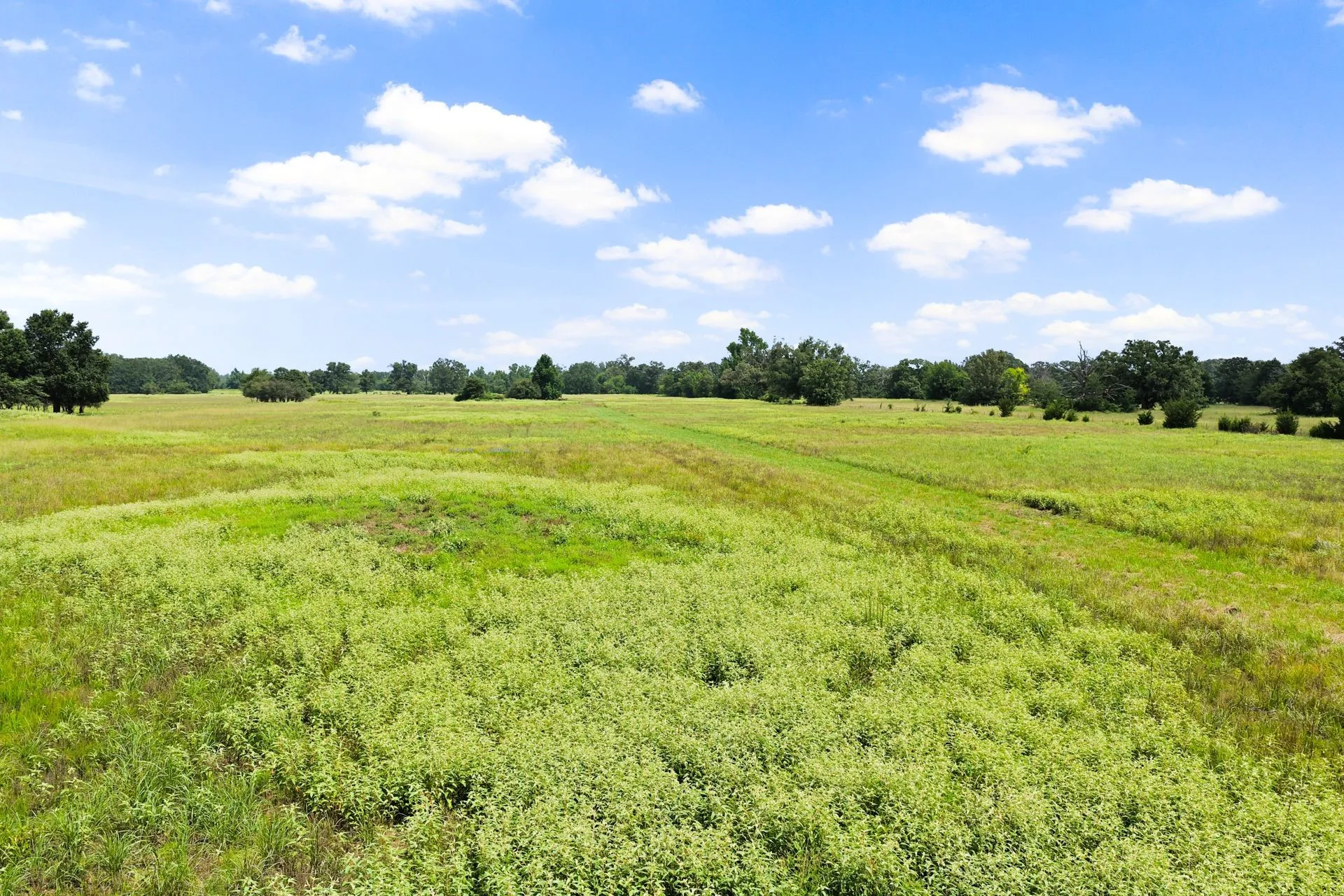 Unimproved Land For Sale in Franklin (TX) County , 495 NE County Road 2220, Talco, Texas 75487, 0, 0, Garage spaces, 0 Sqft, built in 0, Price $199,000, mls#21339954, Real Estate Agent in Talco, Homes For Sale in Franklin (TX) county, Homes For Sale in Talco, Realtor in Talco Texas, Real Estate Brokerage Independent Realty Texas, Luminita Cordes Realtor