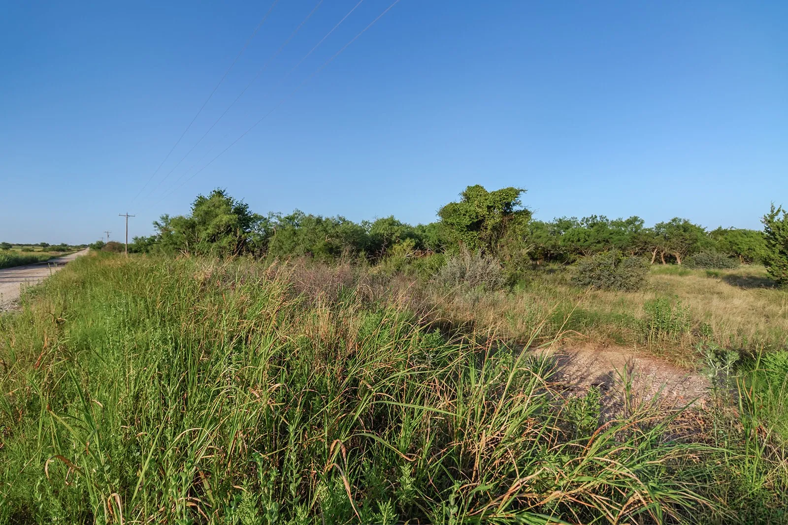Improved Land For Sale in Mc Culloch County , 2055 CR 472, Rochelle, Texas 76825, 0, 0, Garage spaces, 0 Sqft, built in 0, Price $99,000, mls#21339577, Real Estate Agent in Rochelle, Homes For Sale in Mc Culloch county, Homes For Sale in Rochelle, Realtor in Rochelle Texas, Real Estate Brokerage Independent Realty Texas, Luminita Cordes Realtor