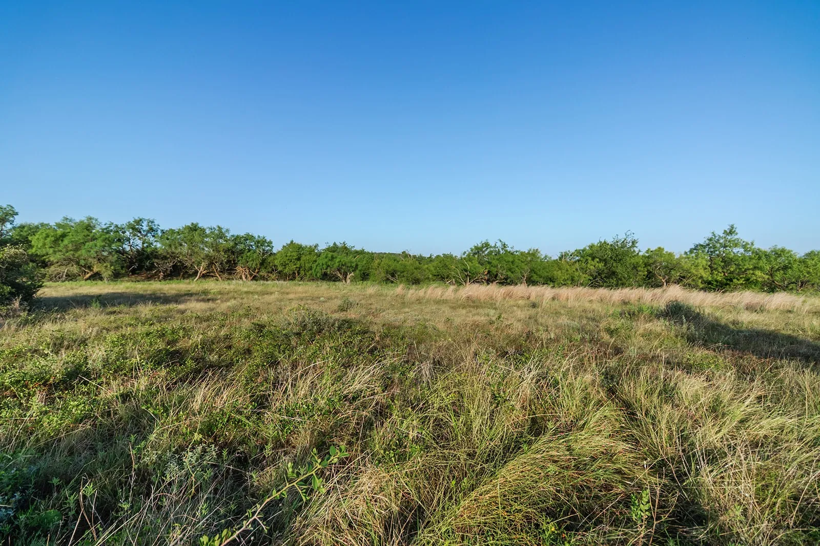 Improved Land For Sale in Mc Culloch County , 2055 CR 472, Rochelle, Texas 76825, 0, 0, Garage spaces, 0 Sqft, built in 0, Price $99,000, mls#21339577, Real Estate Agent in Rochelle, Homes For Sale in Mc Culloch county, Homes For Sale in Rochelle, Realtor in Rochelle Texas, Real Estate Brokerage Independent Realty Texas, Luminita Cordes Realtor
