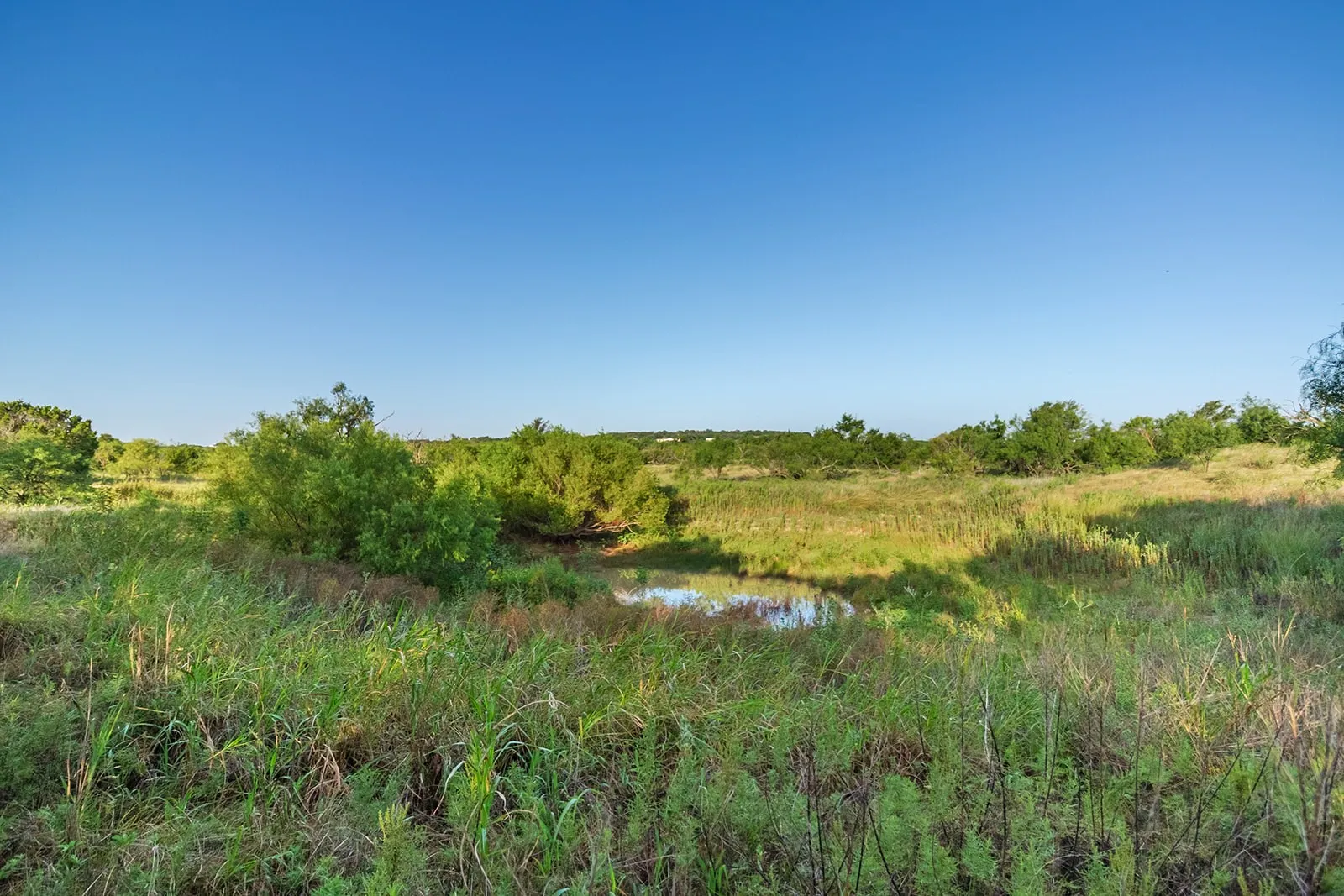 Improved Land For Sale in Mc Culloch County , 2055 CR 472, Rochelle, Texas 76825, 0, 0, Garage spaces, 0 Sqft, built in 0, Price $99,000, mls#21339577, Real Estate Agent in Rochelle, Homes For Sale in Mc Culloch county, Homes For Sale in Rochelle, Realtor in Rochelle Texas, Real Estate Brokerage Independent Realty Texas, Luminita Cordes Realtor