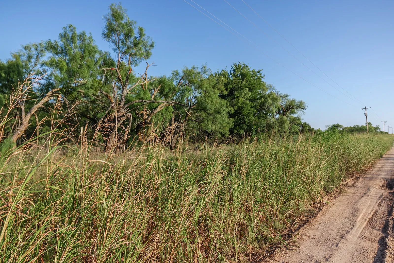 Improved Land For Sale in Mc Culloch County , 2055 CR 472, Rochelle, Texas 76825, 0, 0, Garage spaces, 0 Sqft, built in 0, Price $99,000, mls#21339577, Real Estate Agent in Rochelle, Homes For Sale in Mc Culloch county, Homes For Sale in Rochelle, Realtor in Rochelle Texas, Real Estate Brokerage Independent Realty Texas, Luminita Cordes Realtor