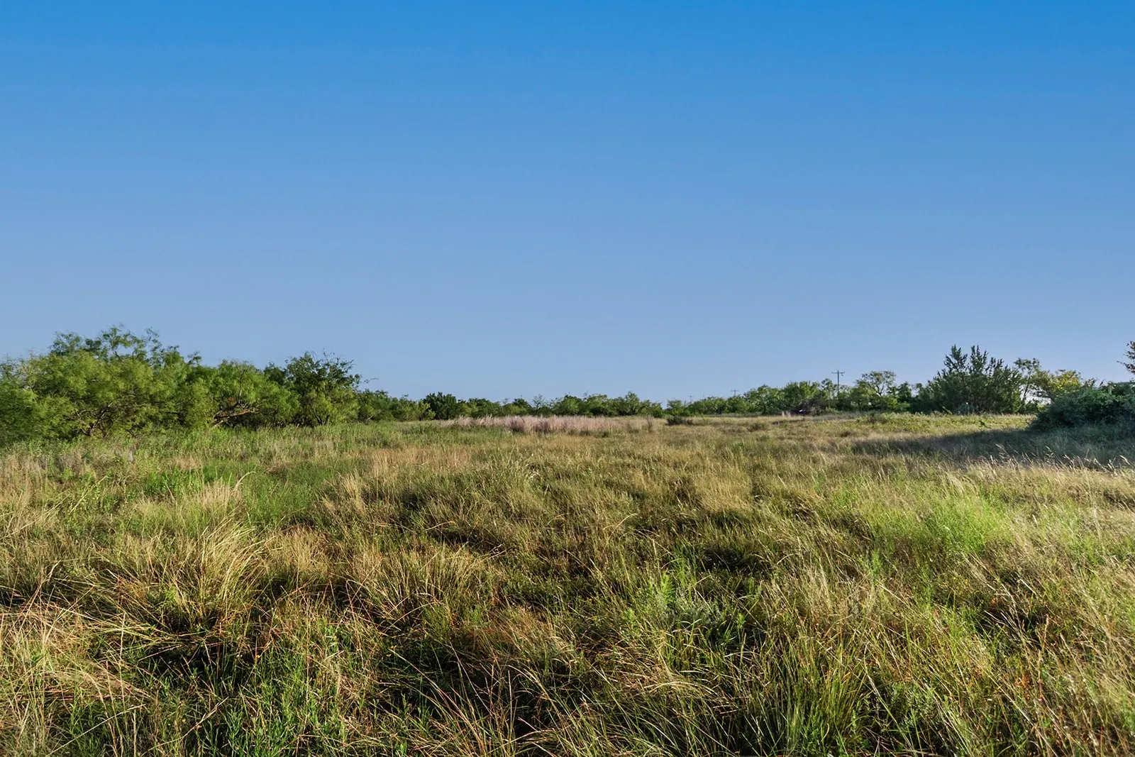 Improved Land For Sale in Mc Culloch County , 2055 CR 472, Rochelle, Texas 76825, 0, 0, Garage spaces, 0 Sqft, built in 0, Price $99,000, mls#21339577, Real Estate Agent in Rochelle, Homes For Sale in Mc Culloch county, Homes For Sale in Rochelle, Realtor in Rochelle Texas, Real Estate Brokerage Independent Realty Texas, Luminita Cordes Realtor