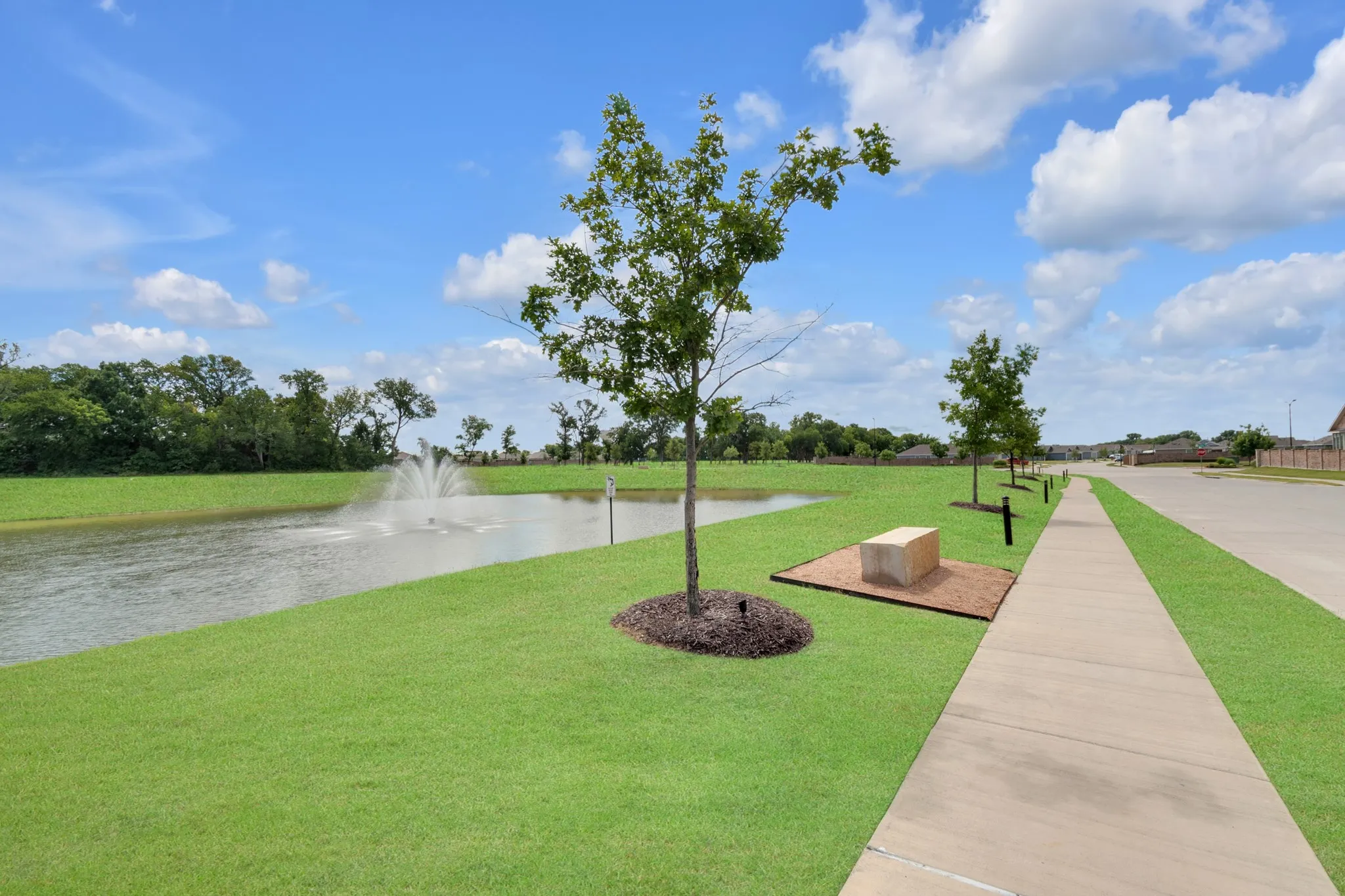 Single Family Residence For Sale in Collin County , 1801 Ashland Street, Mc Kinney, Texas 75071, 3 Bedroom, 2 Bathroom, 2 Garage spaces, 1,479 Sqft, built in 2024, mls#21332985, Real Estate Agent in Mc Kinney, Homes For Sale in Collin county, Homes For Sale in Mc Kinney, Realtor in Mc Kinney Texas, Real Estate Brokerage Independent Realty Texas, Luminita Cordes Realtor