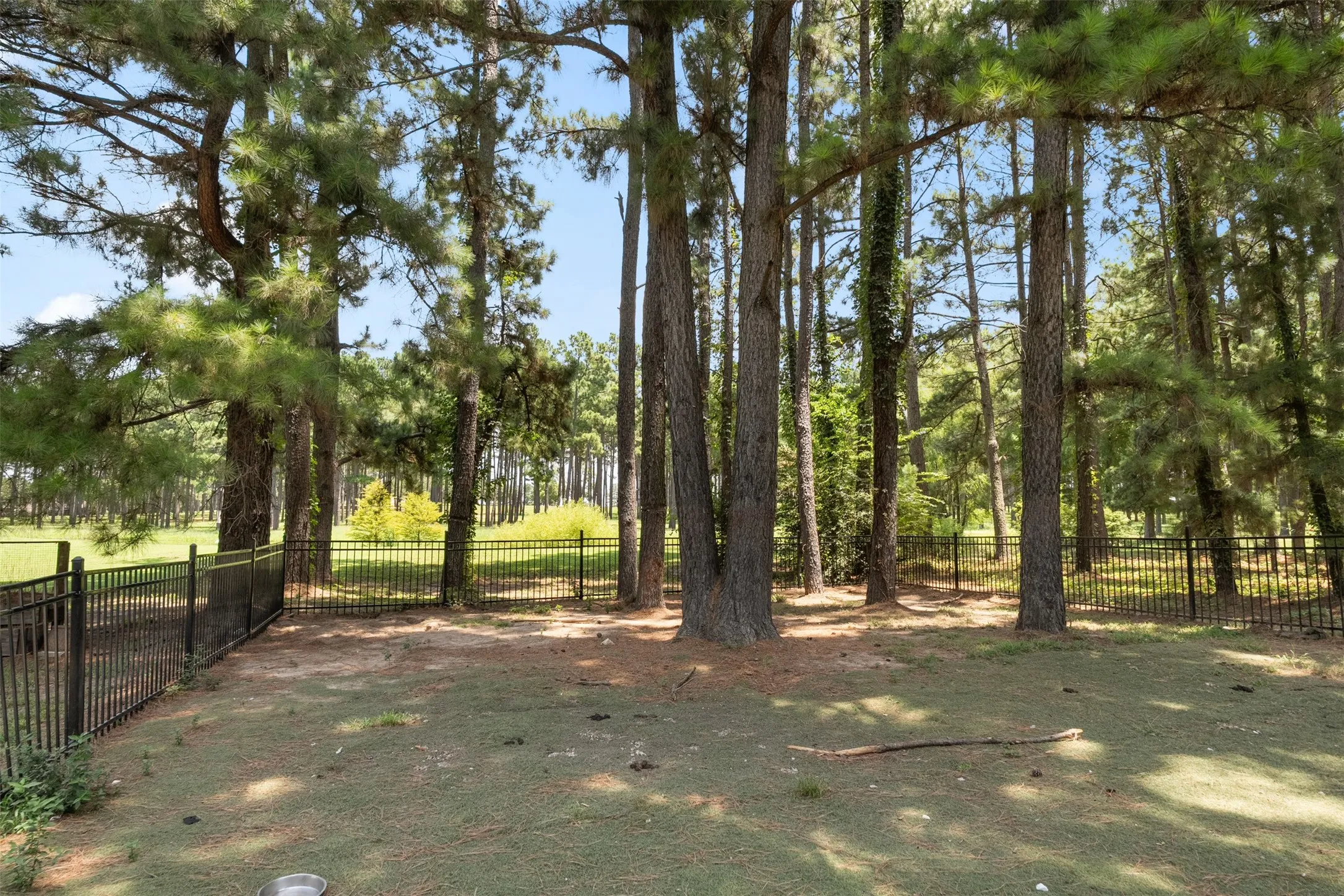 Fenced in pet area