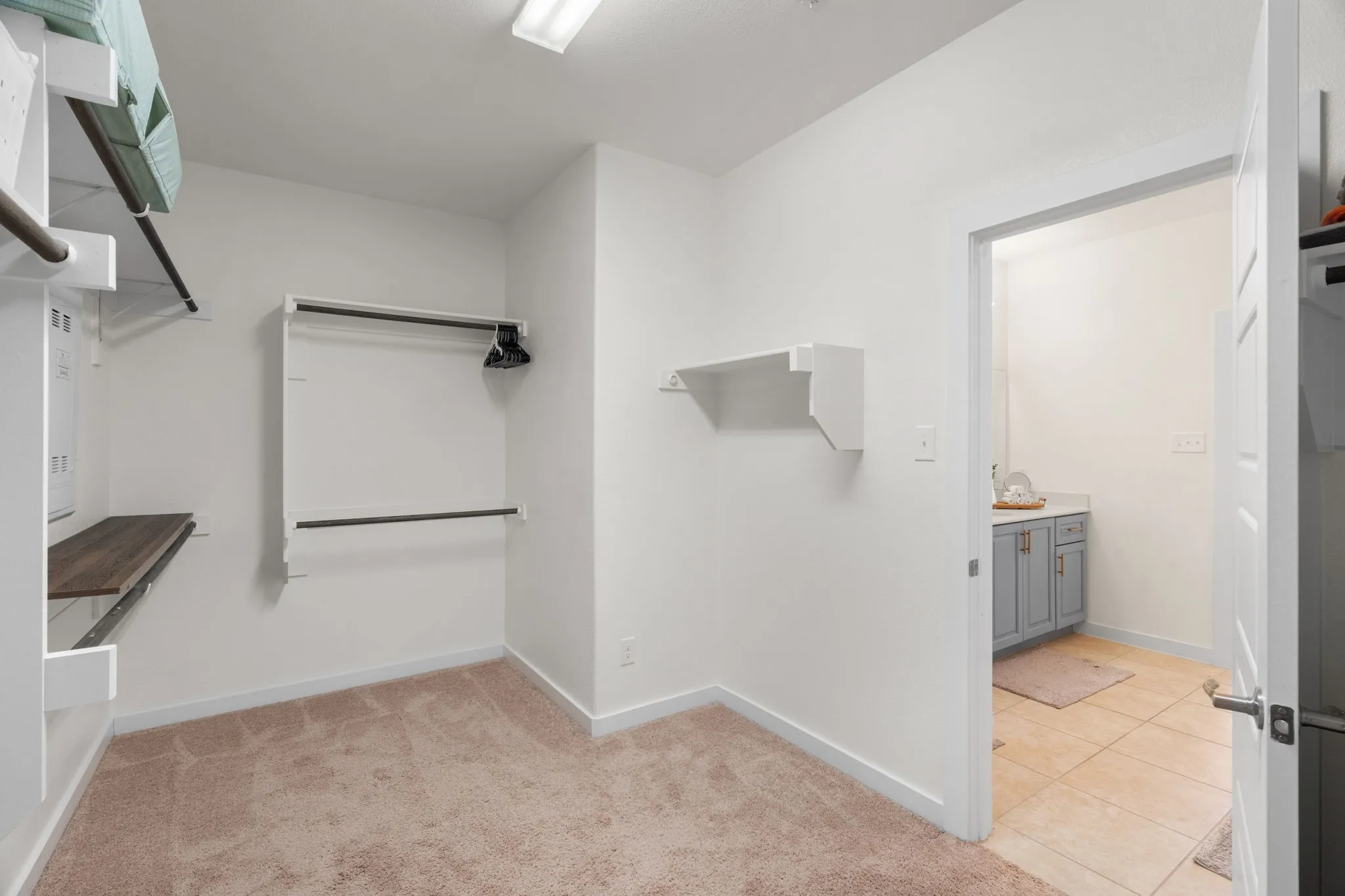 Spacious walk-in closet featuring light-colored carpet flooring, multiple shelving units, and clothing rods