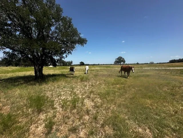 Ranch For Sale in Hood County , 10400 Lipan Highway, Lipan, Texas 76462, 0, 0, Garage spaces, 0 Sqft, built in 0, Price $4,987,920, mls#21339982, Real Estate Agent in Lipan, Homes For Sale in Hood county, Homes For Sale in Lipan, Realtor in Lipan Texas, Real Estate Brokerage Independent Realty Texas, Luminita Cordes Realtor