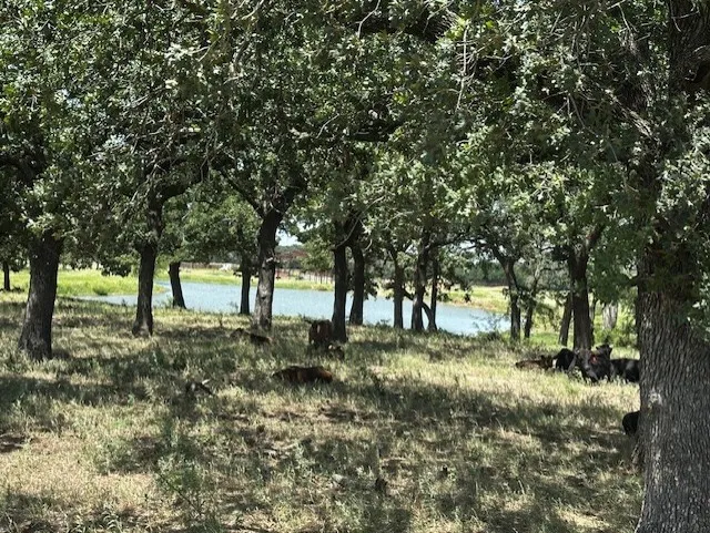Ranch For Sale in Hood County , 10400 Lipan Highway, Lipan, Texas 76462, 0, 0, Garage spaces, 0 Sqft, built in 0, Price $4,987,920, mls#21339982, Real Estate Agent in Lipan, Homes For Sale in Hood county, Homes For Sale in Lipan, Realtor in Lipan Texas, Real Estate Brokerage Independent Realty Texas, Luminita Cordes Realtor
