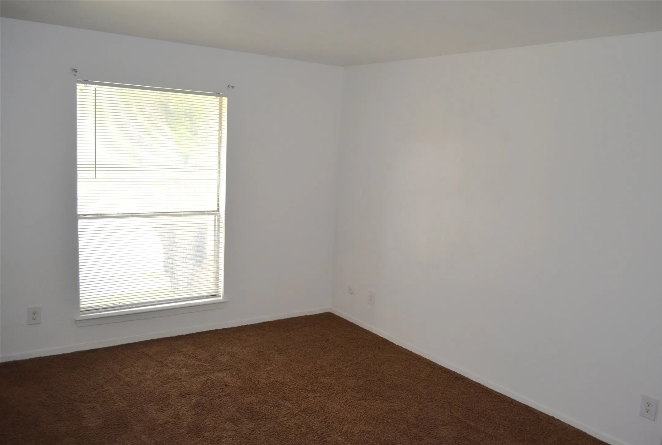 Windowed room featuring white walls and brown carpet flooring