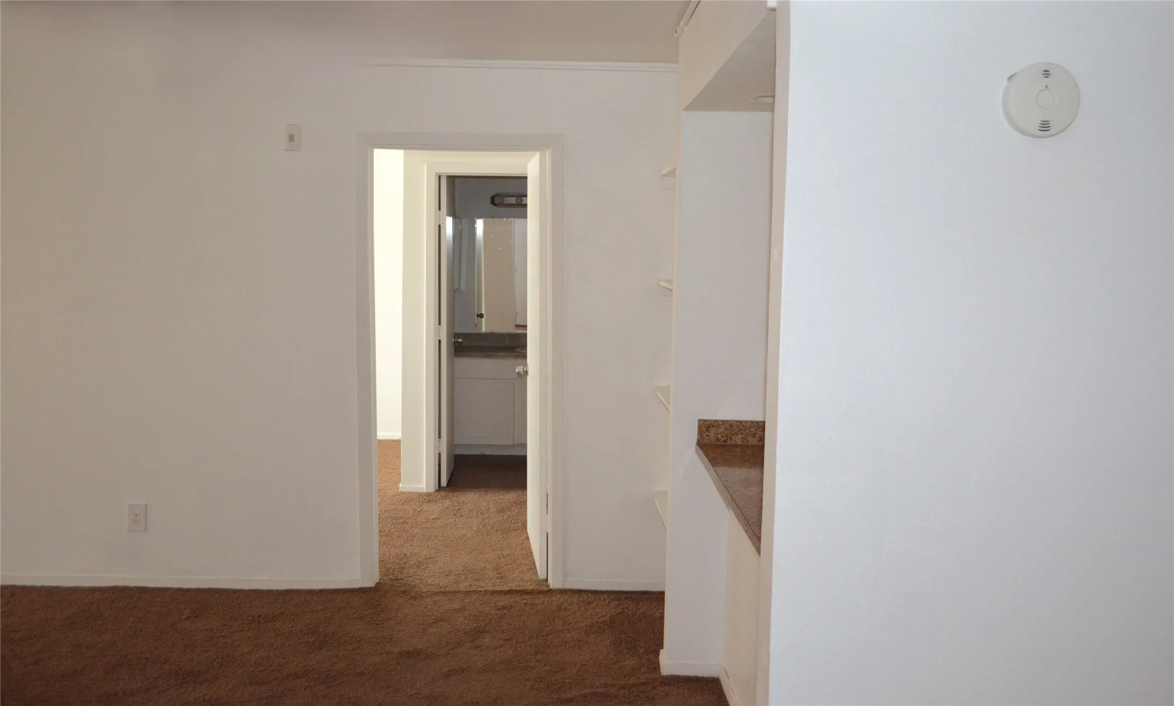 Neutral wall color, brown carpet flooring, built-in shelving, and a countertop surface