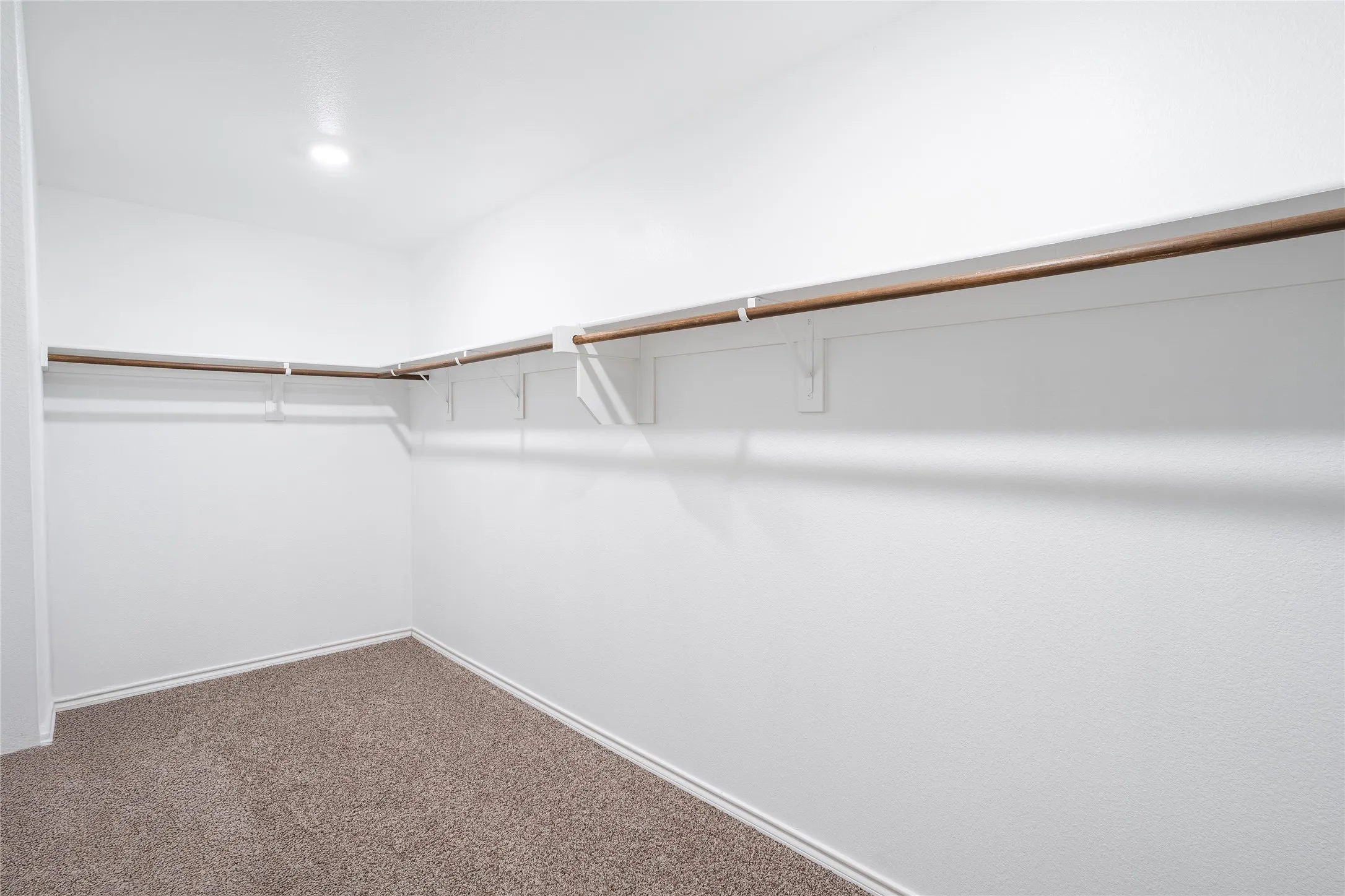 Spacious walk-in closet with carpet