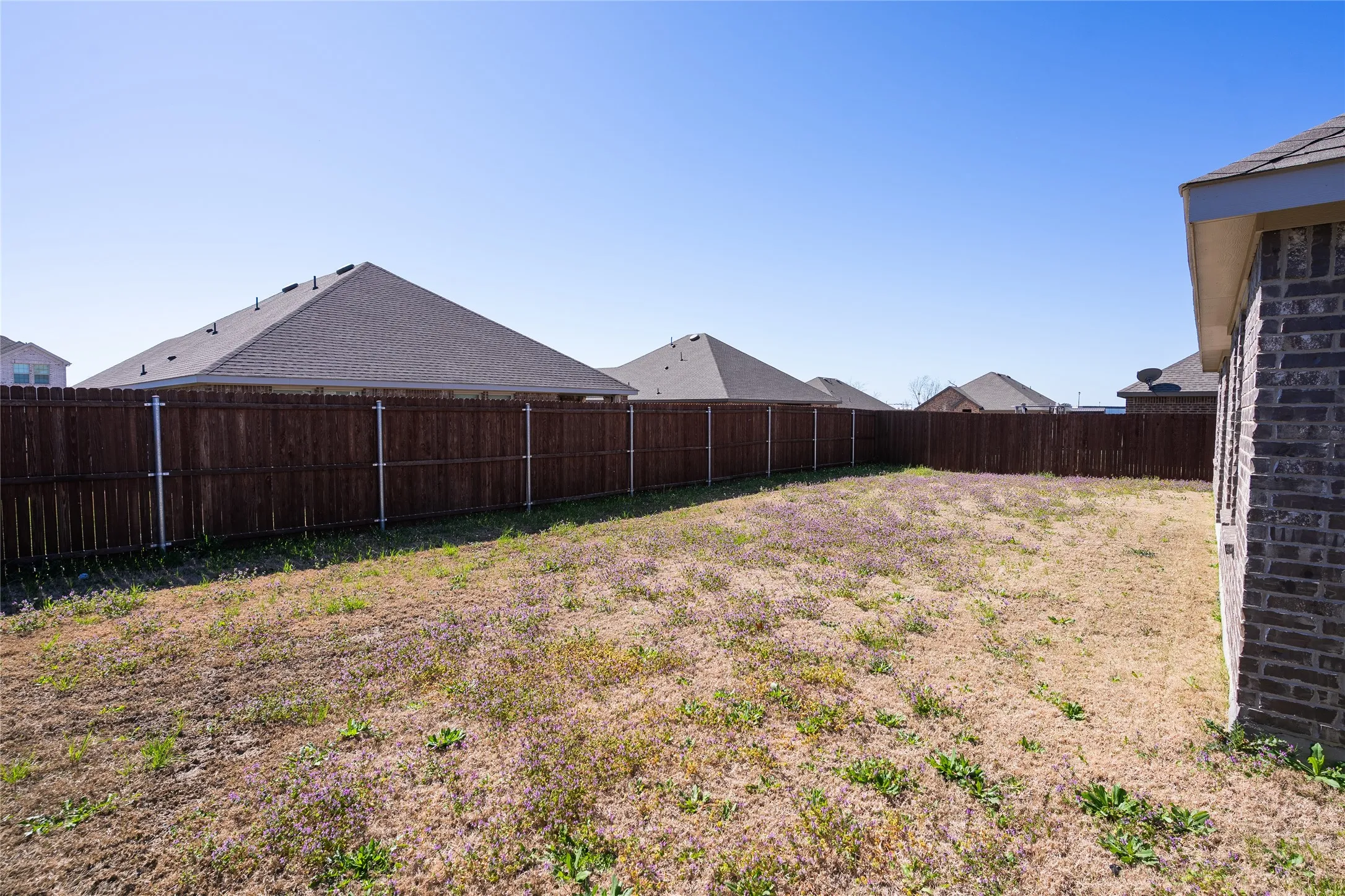 View of fenced backyard