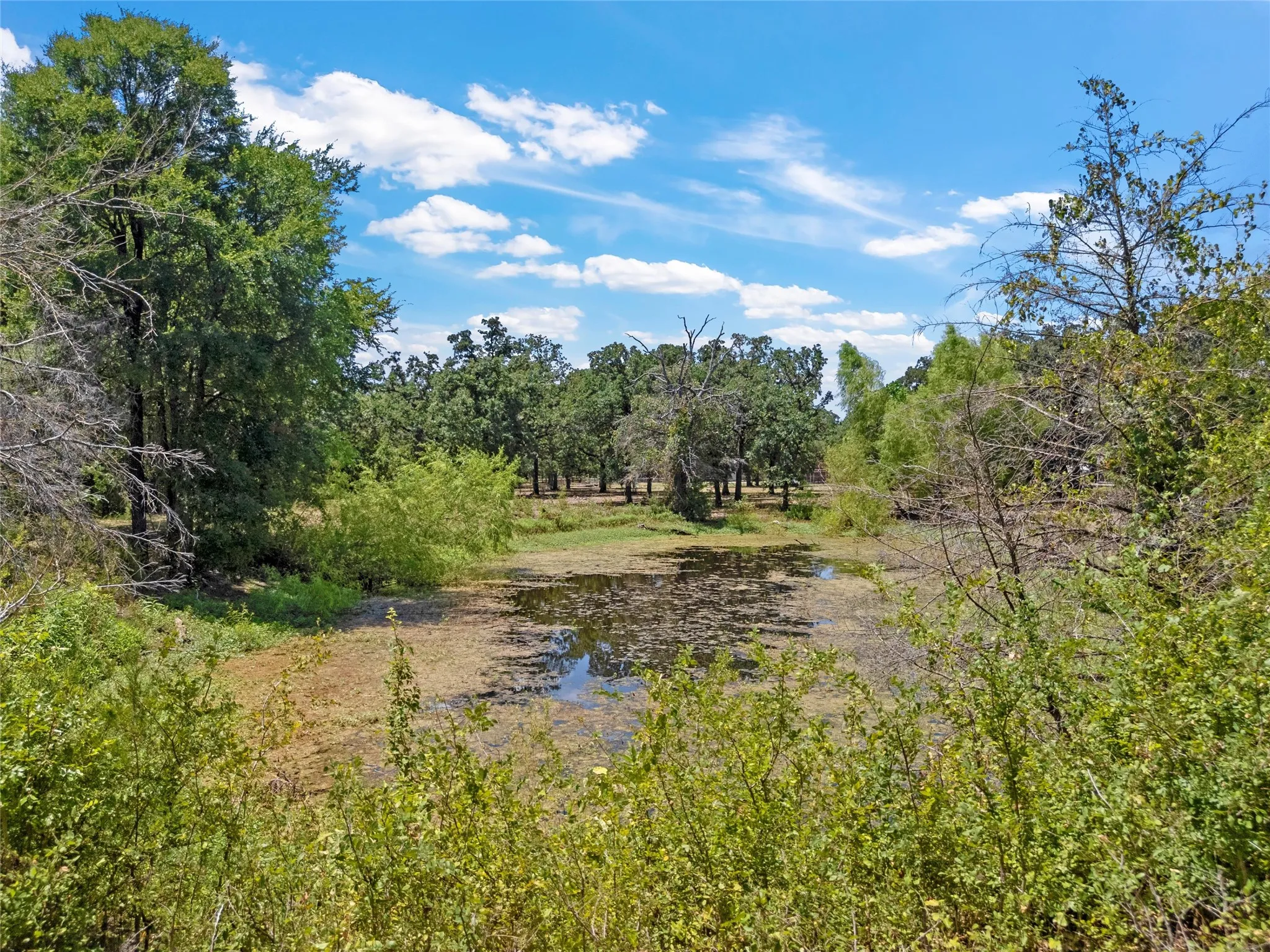 Single Family Residence For Sale in Mc Lennan County , 1047 Fort Hill Road, Waco, Texas 76705, 3 Bedroom, 2 Bathroom, 2 Garage spaces, 2,039 Sqft, built in 1976, mls#21340131, Real Estate Agent in Waco, Homes For Sale in Mc Lennan county, Homes For Sale in Waco, Realtor in Waco Texas, Real Estate Brokerage Independent Realty Texas, Luminita Cordes Realtor