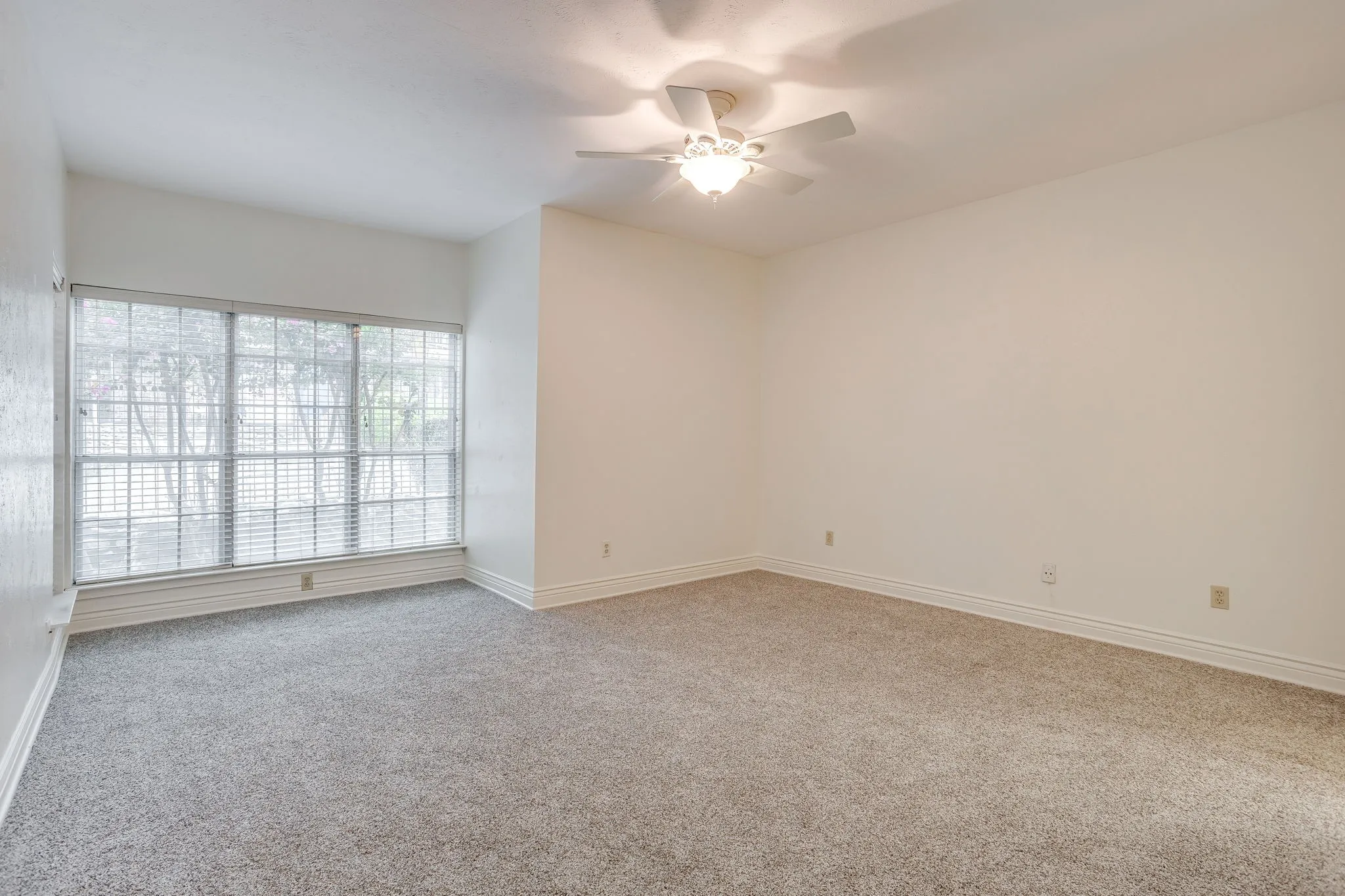 Master bedroom with a bank of windows for natural light. It has new carpet and a ceiling fan.