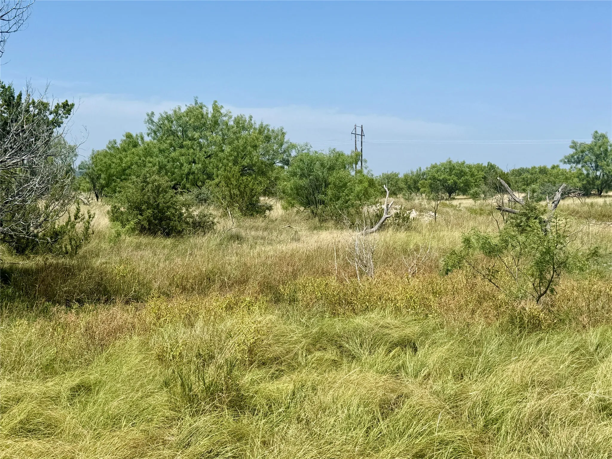Single Family Residence For Sale in Tom Green County , 2553 Stonewall Valley, Christoval, Texas 76935, 4 Bedroom, 3 Bathroom, 2 Garage spaces, 3,606 Sqft, built in 2016, Price $1,199,900, mls#21340142, Real Estate Agent in Christoval, Homes For Sale in Tom Green county, Homes For Sale in Christoval, Realtor in Christoval Texas, Real Estate Brokerage Independent Realty Texas, Luminita Cordes Realtor
