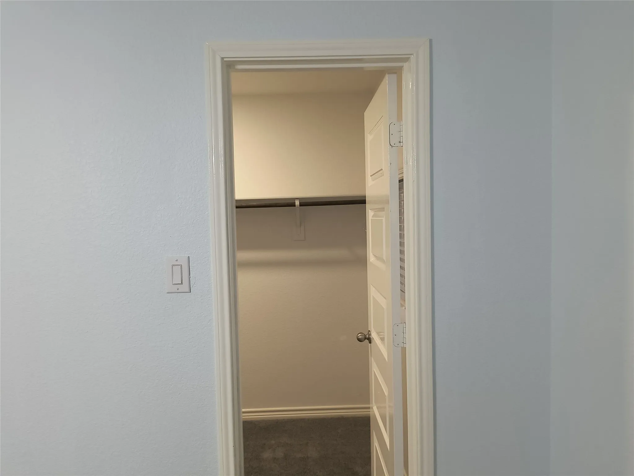 Walk-in closet featuring light gray walls, dark gray carpet, a single wall-mounted rod, and a white interior door