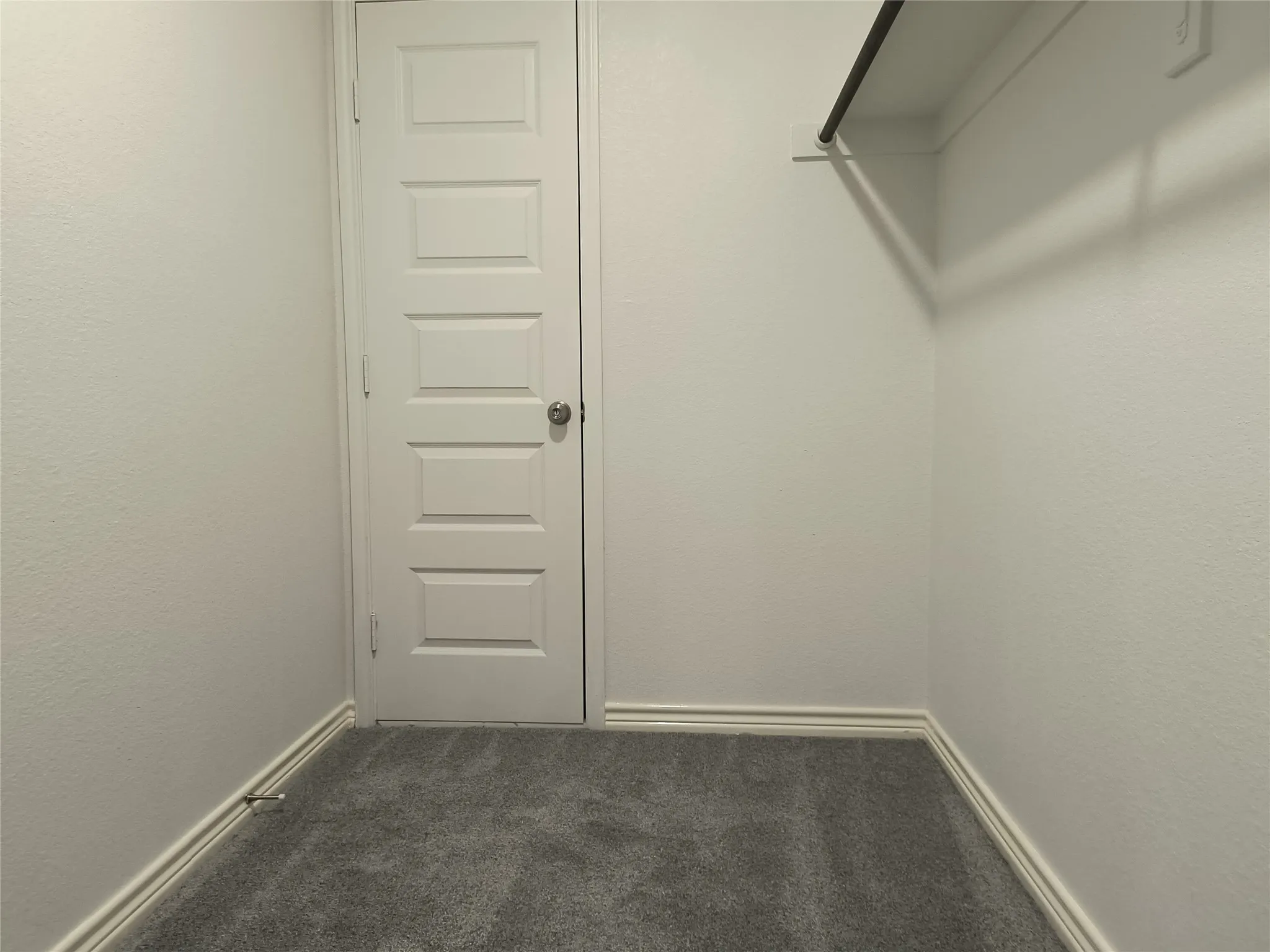 Walk-in closet featuring plush gray carpeting, white painted walls, a five-panel interior door, and a built-in clothing rod with shelving