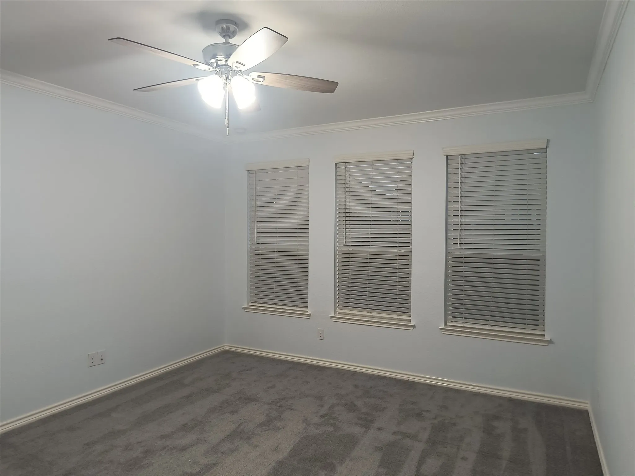 Bright room featuring three windows with horizontal blinds, a ceiling fan with integrated lighting, crown molding, and neutral-toned carpeting