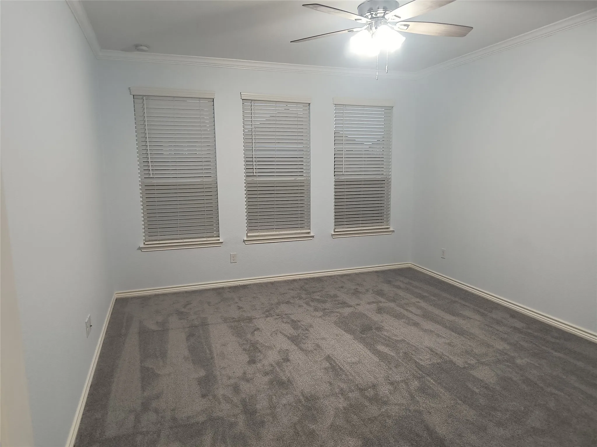 Spacious room featuring light gray walls, gray carpet, and three windows with blinds