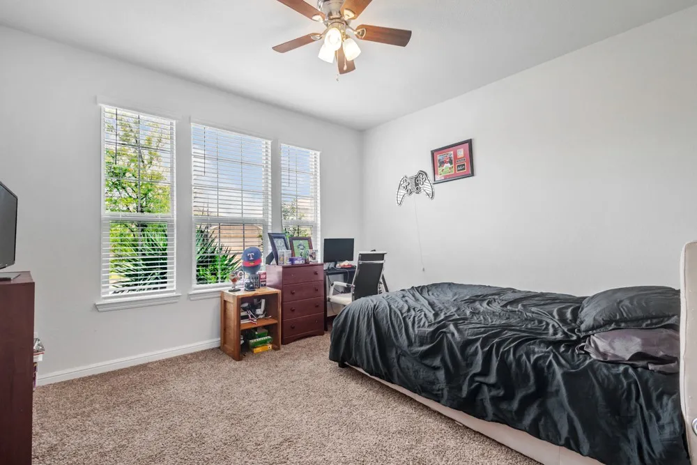 Carpeted room featuring multiple windows with blinds, a ceiling fan with light fixture, and white wall finishes