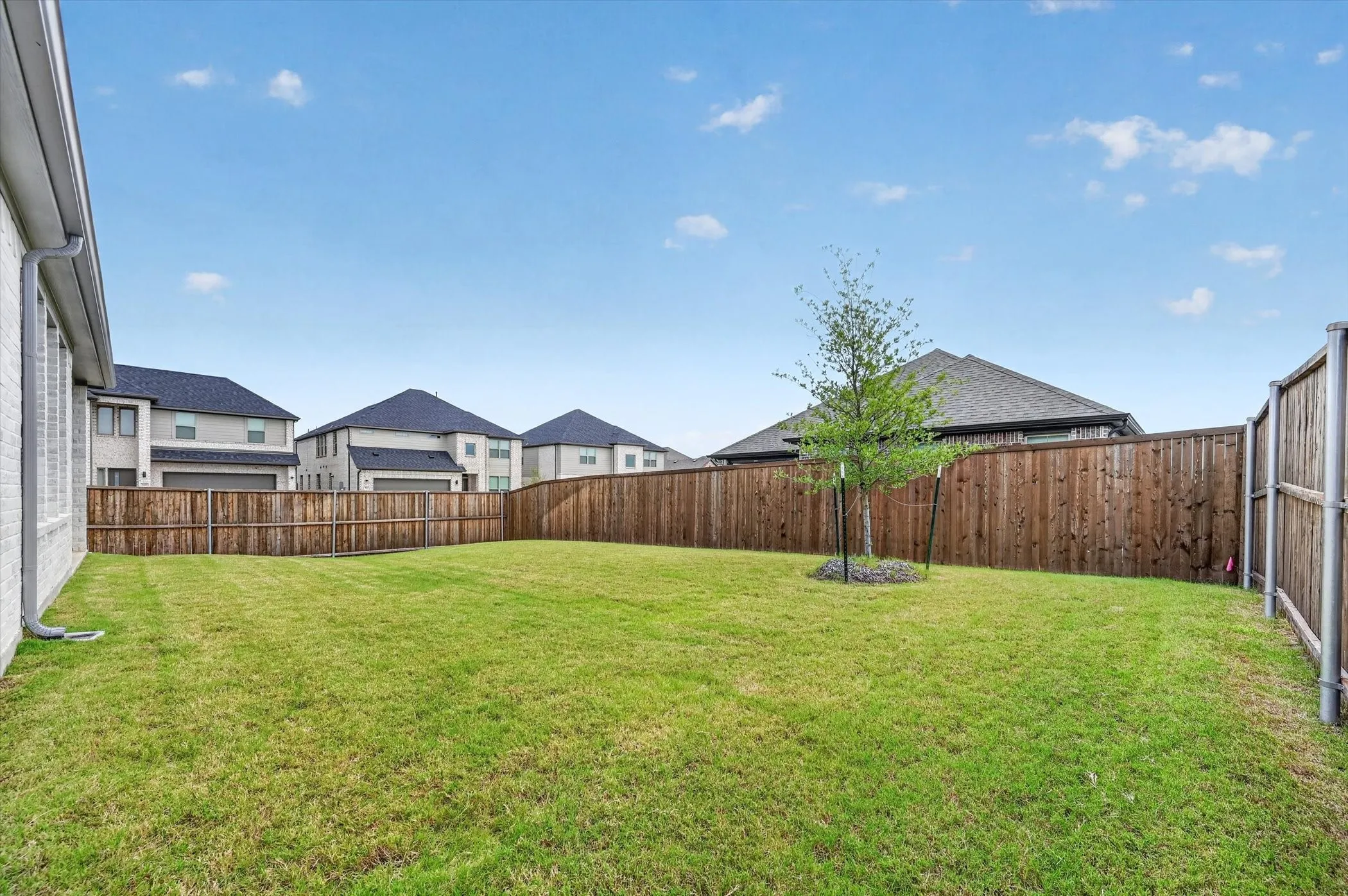 Expansive backyard featuring a manicured lawn, a young tree, and a full wood privacy fence
