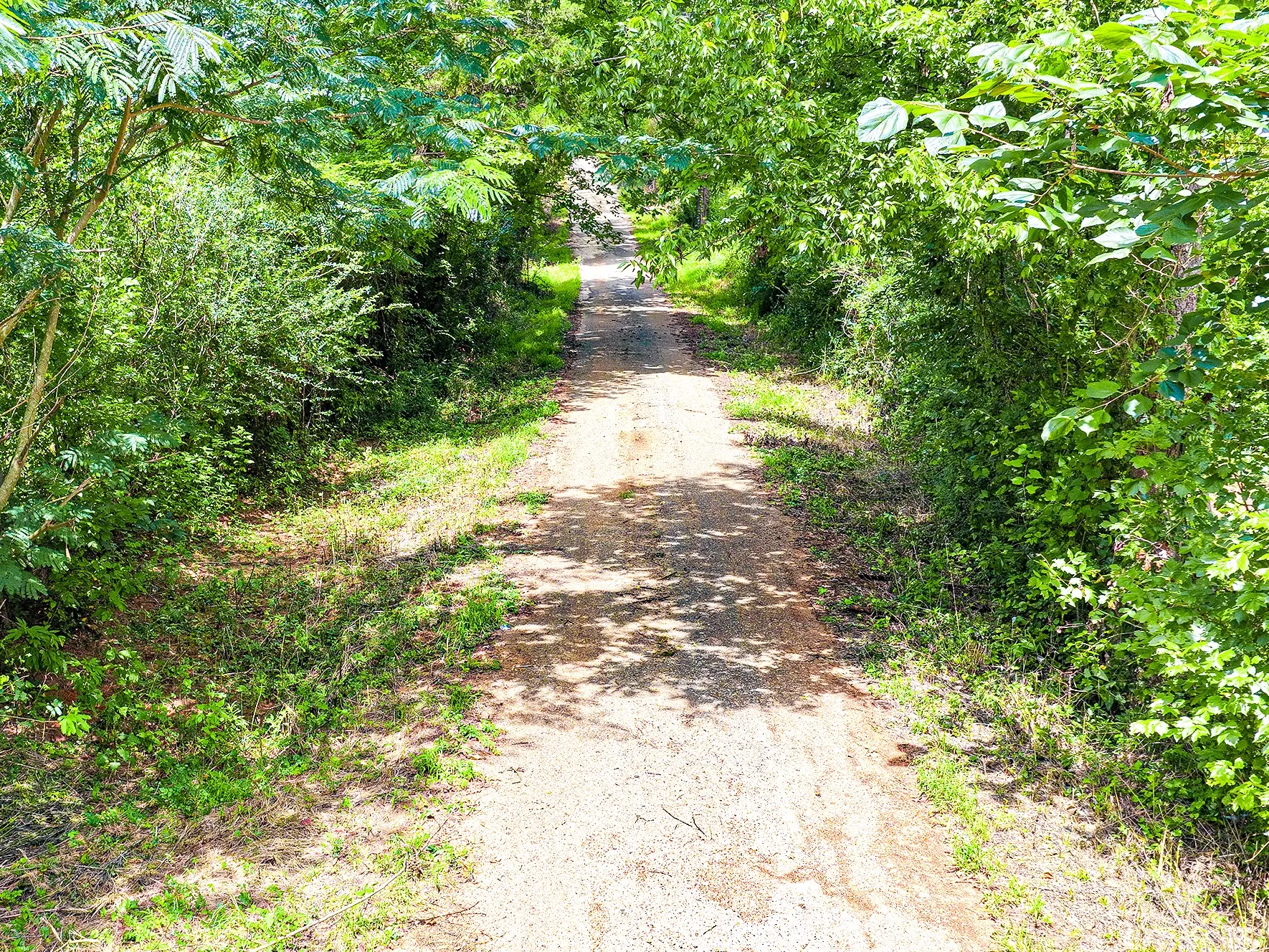 Unimproved Land For Sale in Nacogdoches County , TBD County Road 276, Nacogdoches, Texas 75961, 0, 0, Garage spaces, 0 Sqft, built in 0, mls#21340159, Real Estate Agent in Nacogdoches, Homes For Sale in Nacogdoches county, Homes For Sale in Nacogdoches, Realtor in Nacogdoches Texas, Real Estate Brokerage Independent Realty Texas, Luminita Cordes Realtor