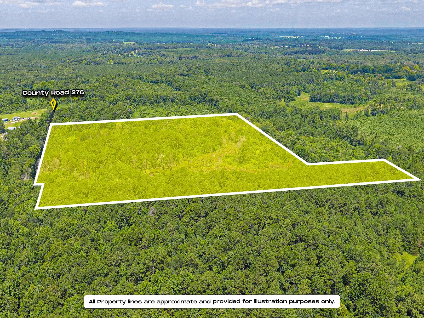 Unimproved Land For Sale in Nacogdoches County , TBD County Road 276, Nacogdoches, Texas 75961, 0, 0, Garage spaces, 0 Sqft, built in 0, mls#21340159, Real Estate Agent in Nacogdoches, Homes For Sale in Nacogdoches county, Homes For Sale in Nacogdoches, Realtor in Nacogdoches Texas, Real Estate Brokerage Independent Realty Texas, Luminita Cordes Realtor