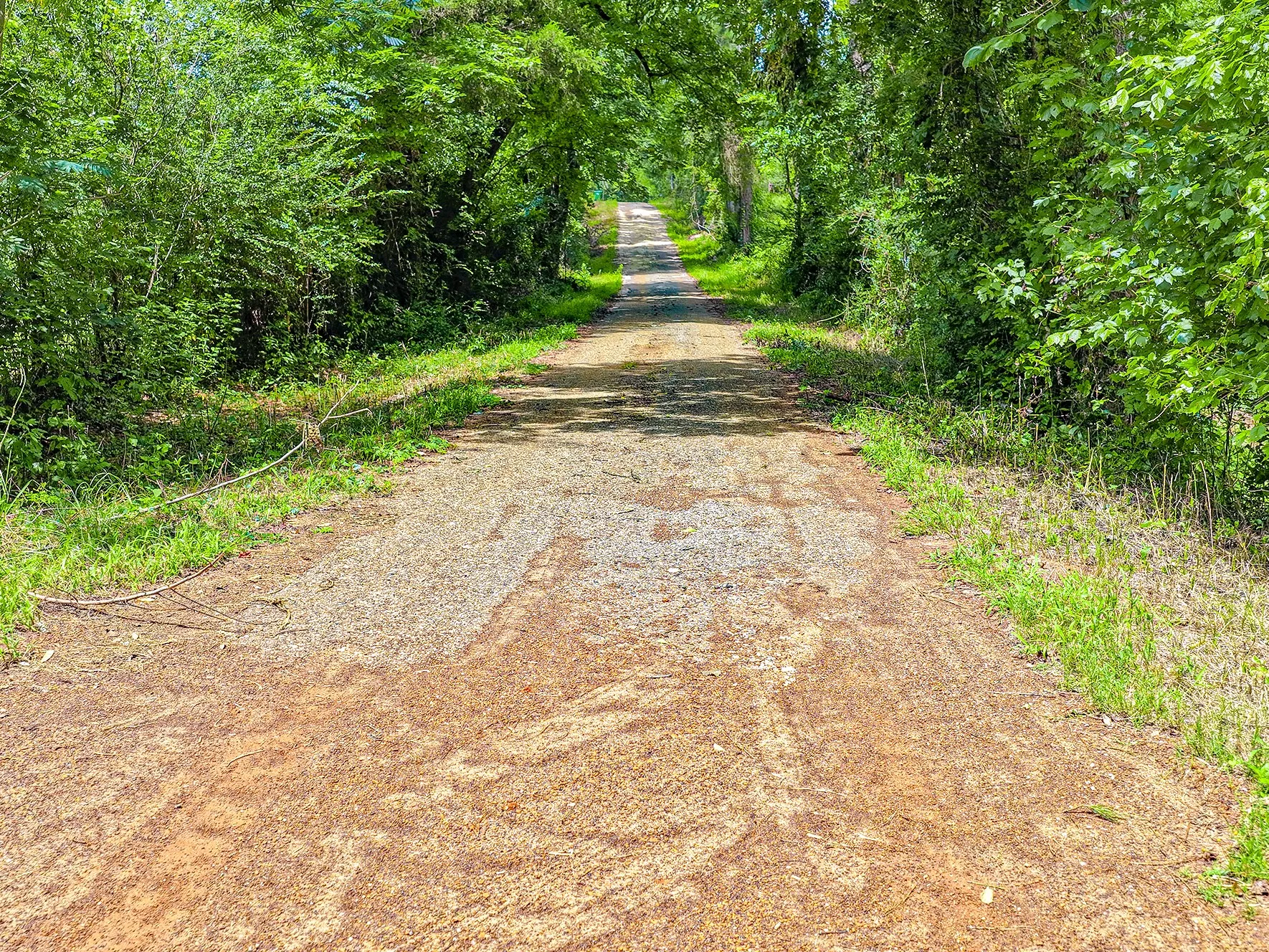 Unimproved Land For Sale in Nacogdoches County , TBD County Road 276, Nacogdoches, Texas 75961, 0, 0, Garage spaces, 0 Sqft, built in 0, mls#21340159, Real Estate Agent in Nacogdoches, Homes For Sale in Nacogdoches county, Homes For Sale in Nacogdoches, Realtor in Nacogdoches Texas, Real Estate Brokerage Independent Realty Texas, Luminita Cordes Realtor