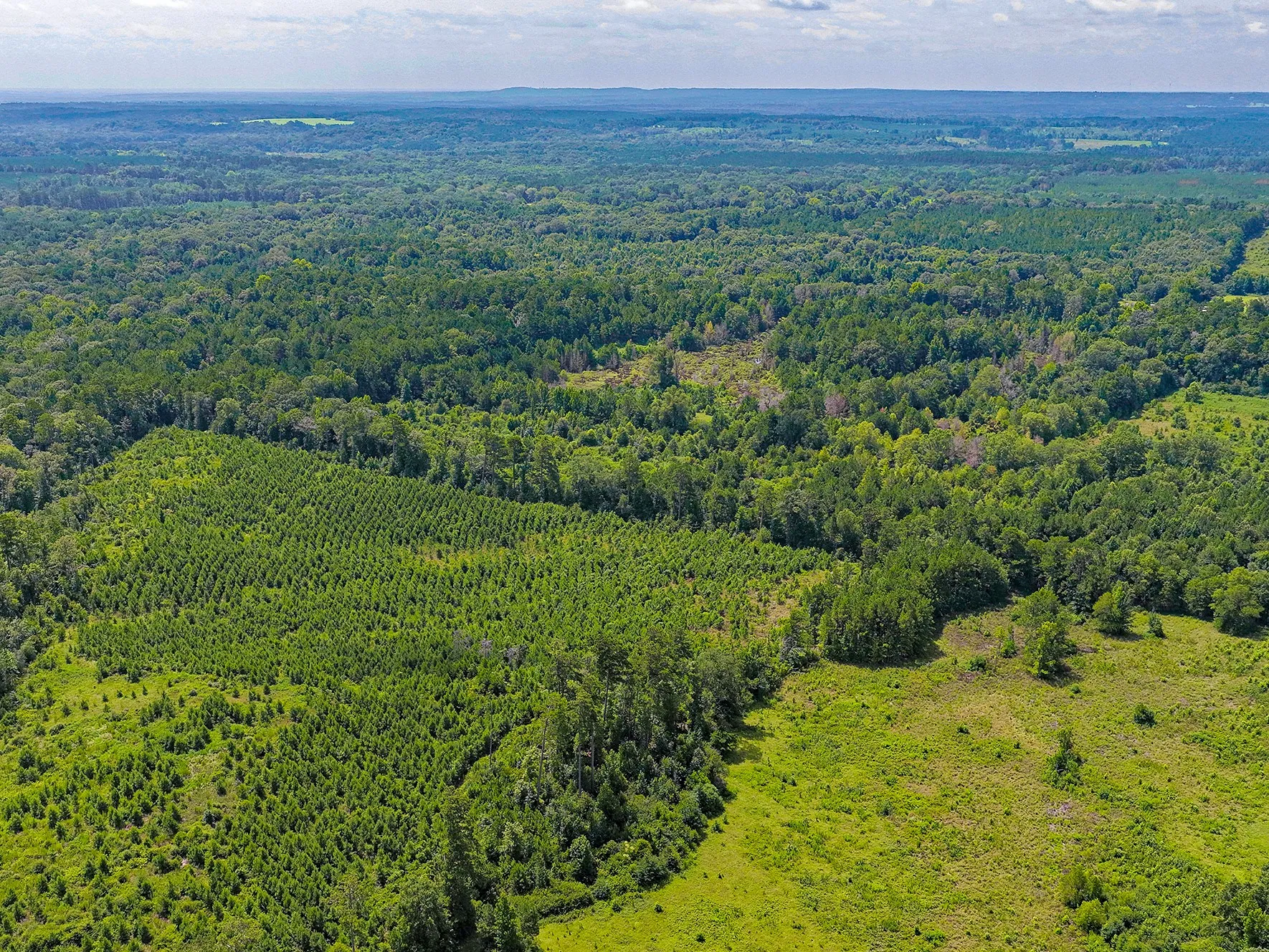 Unimproved Land For Sale in Nacogdoches County , TBD County Road 276, Nacogdoches, Texas 75961, 0, 0, Garage spaces, 0 Sqft, built in 0, mls#21340159, Real Estate Agent in Nacogdoches, Homes For Sale in Nacogdoches county, Homes For Sale in Nacogdoches, Realtor in Nacogdoches Texas, Real Estate Brokerage Independent Realty Texas, Luminita Cordes Realtor