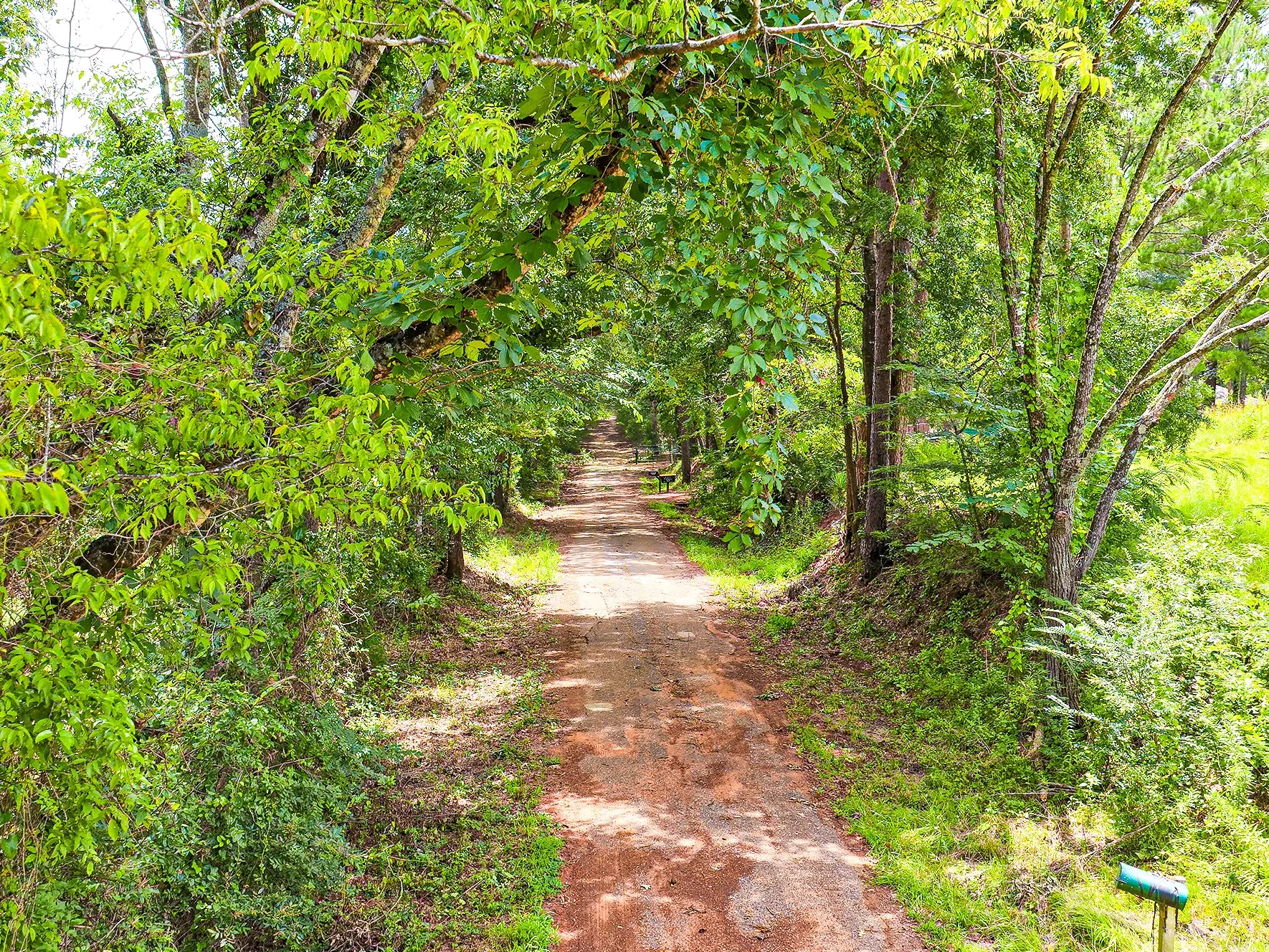 Unimproved Land For Sale in Nacogdoches County , TBD County Road 276, Nacogdoches, Texas 75961, 0, 0, Garage spaces, 0 Sqft, built in 0, mls#21340159, Real Estate Agent in Nacogdoches, Homes For Sale in Nacogdoches county, Homes For Sale in Nacogdoches, Realtor in Nacogdoches Texas, Real Estate Brokerage Independent Realty Texas, Luminita Cordes Realtor